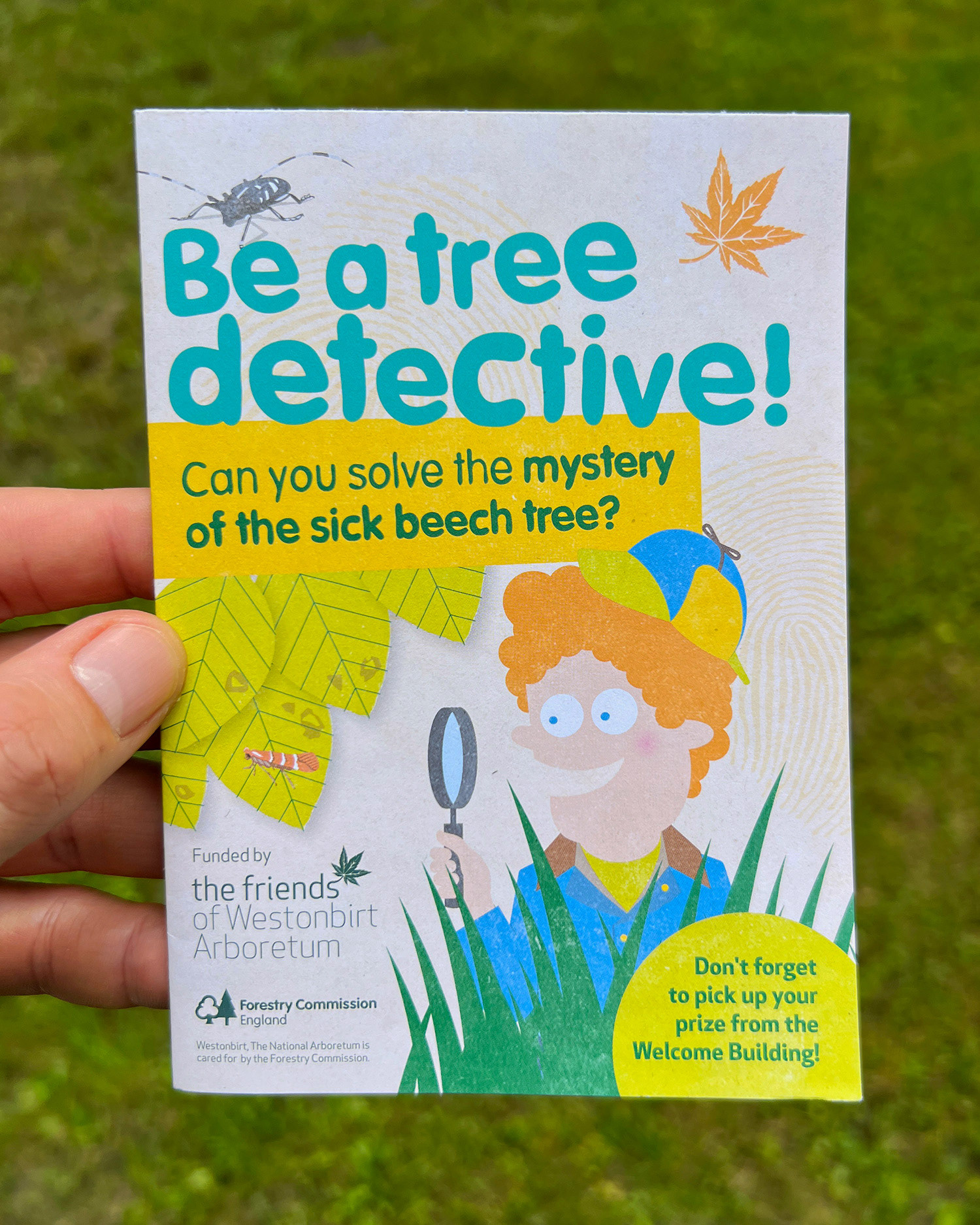 Westonbirt Arboretum Character on leaflet