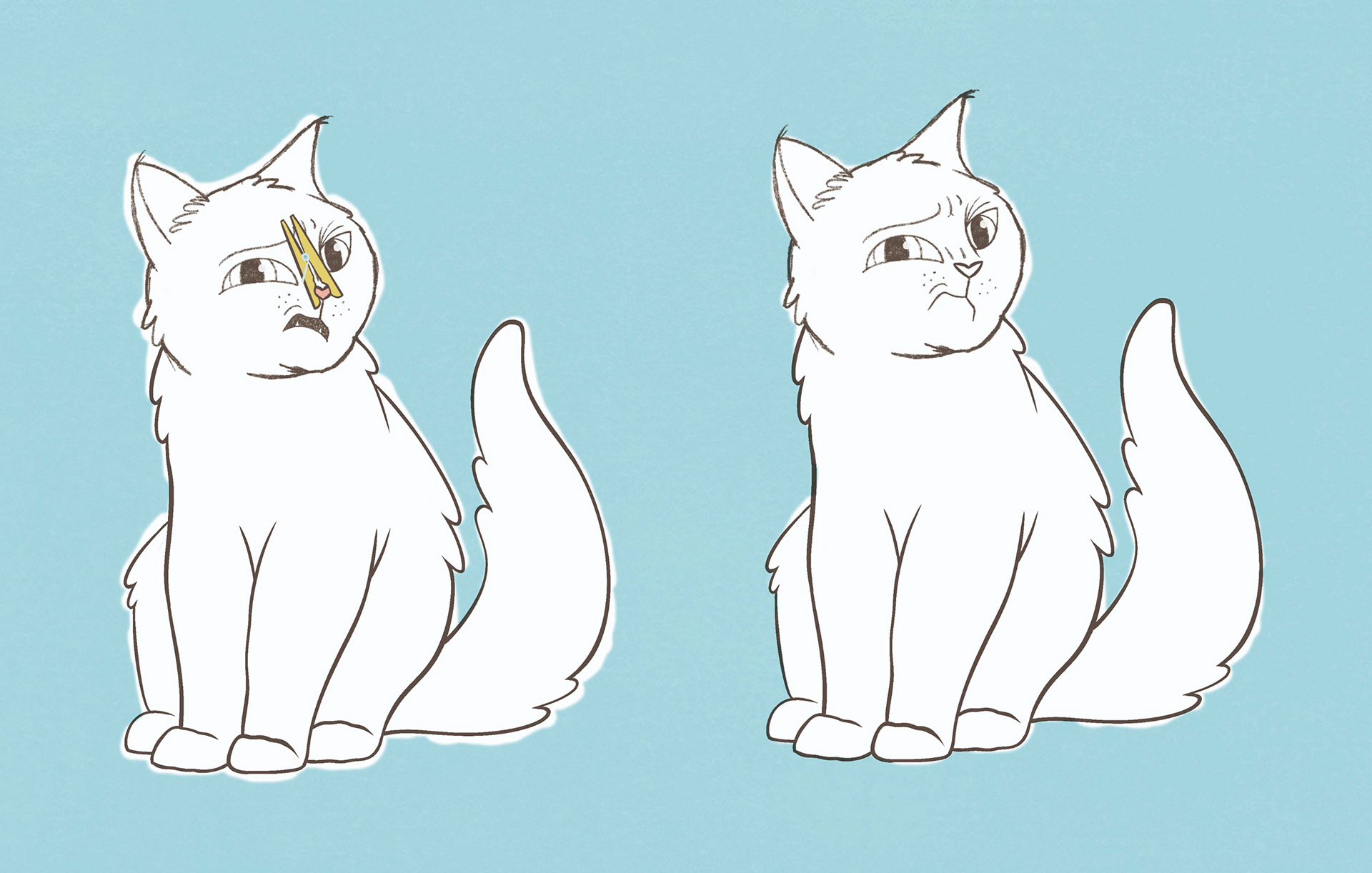 Cat illustration: unsed sketches