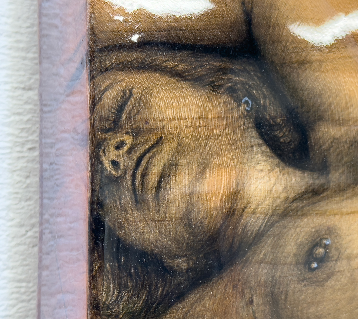 Detail Lana