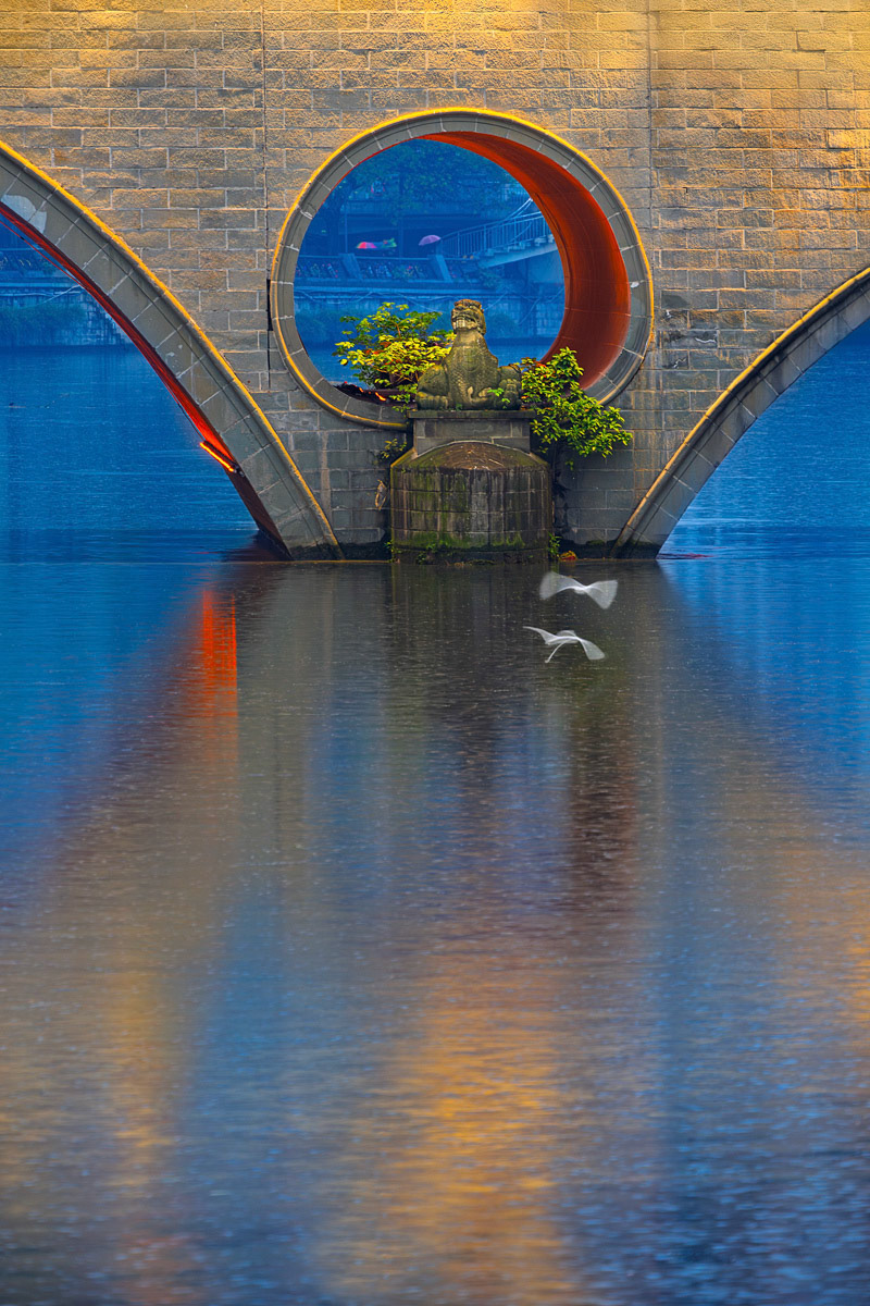 Anshun Bridge Detail During Blue Hour With Egrets Flying To Roost Chengdu