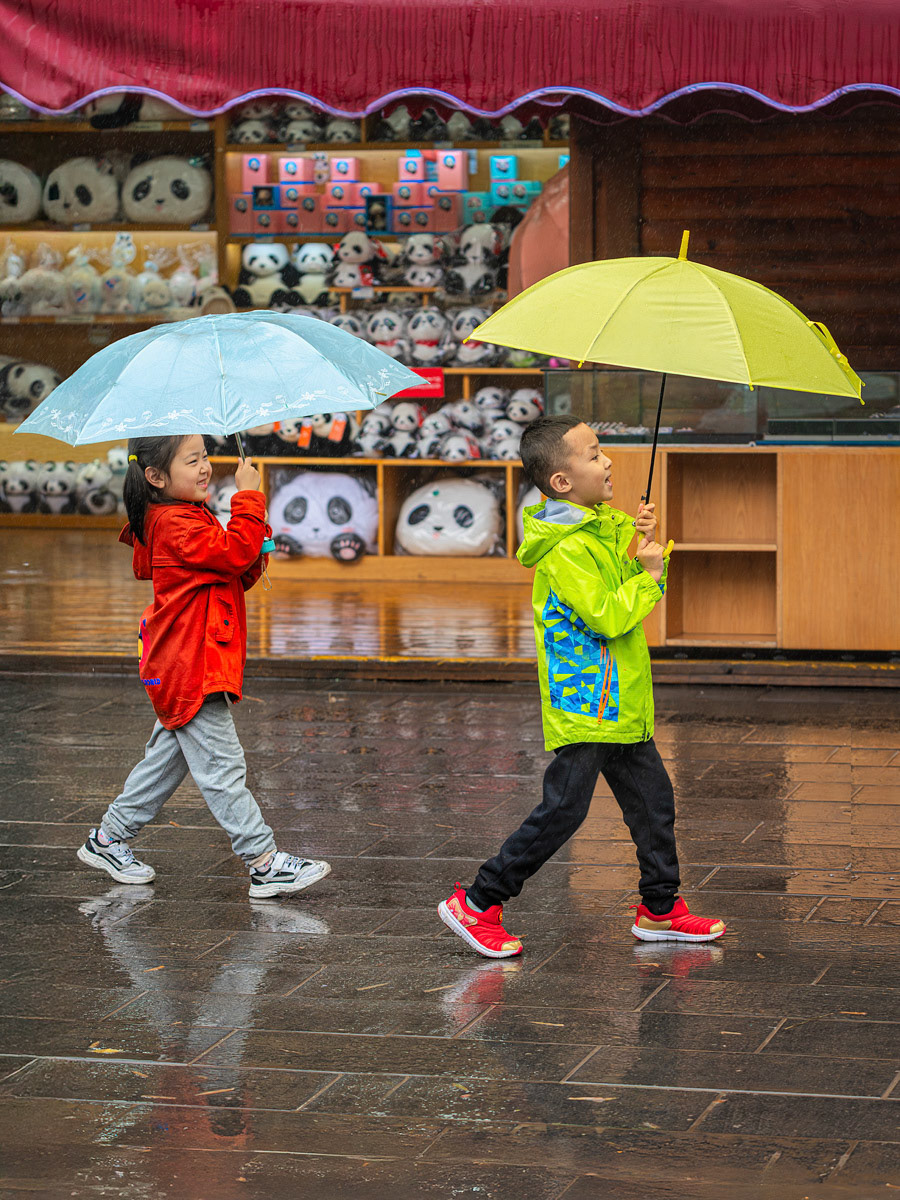 Passing the Panda Toy Stall in the Rain Chengdu