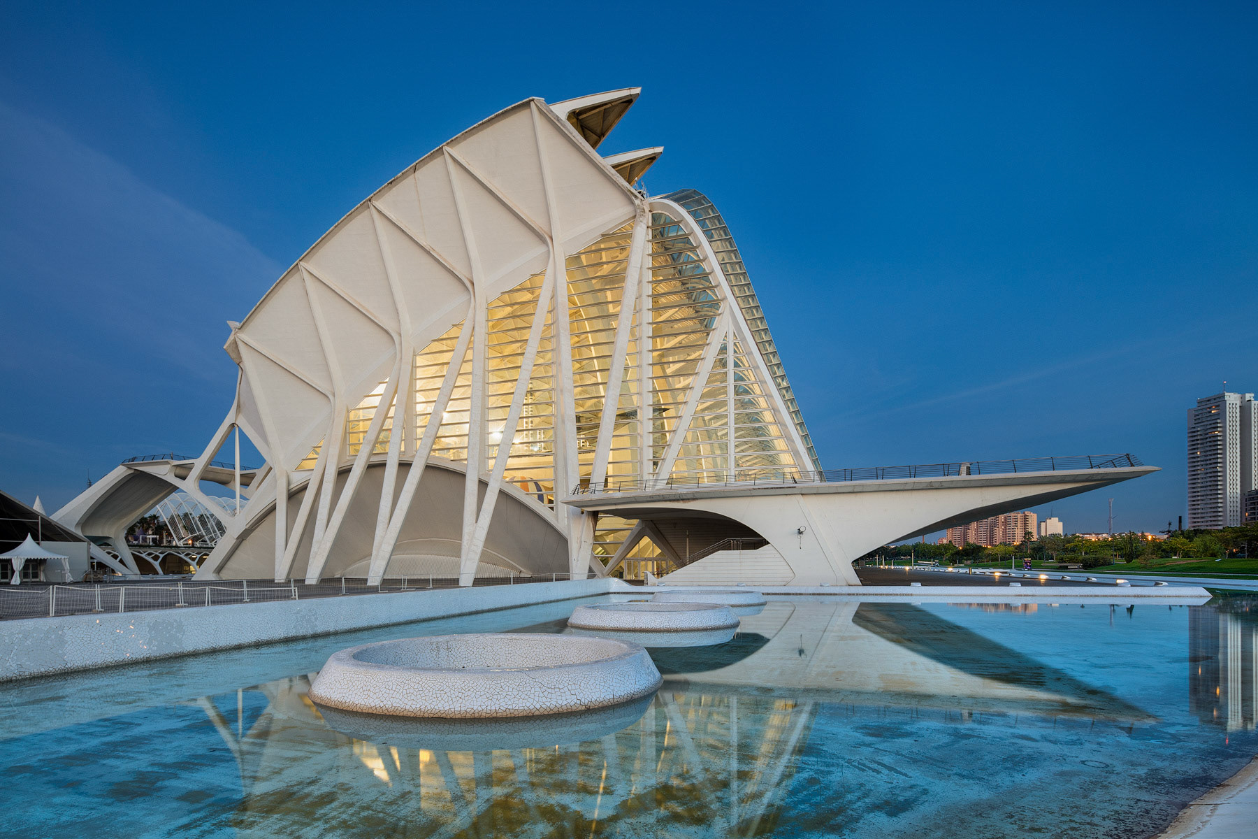 Museo de las Ciencias Principe Felipe #6 - Morning Blue Hour