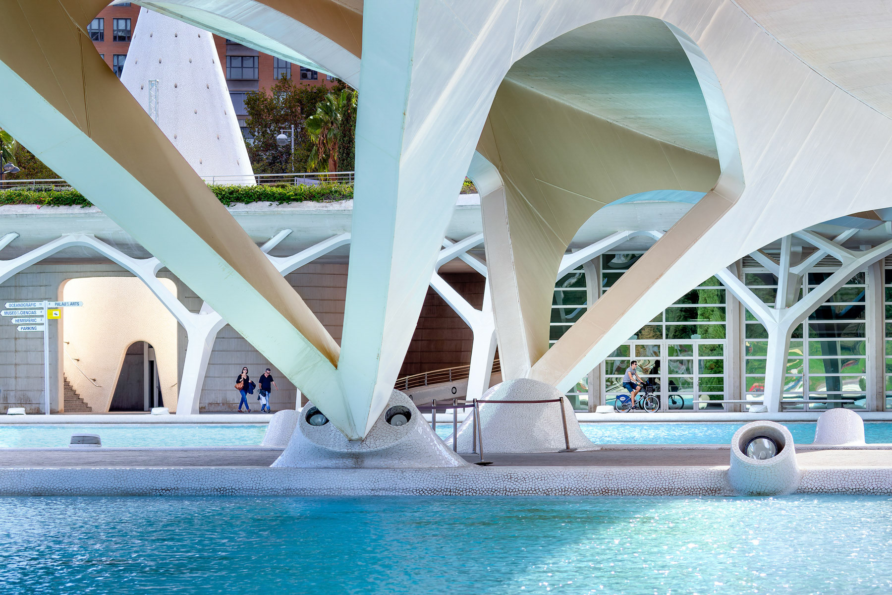 The Flowing Organic Forms of Santiago Calatrava