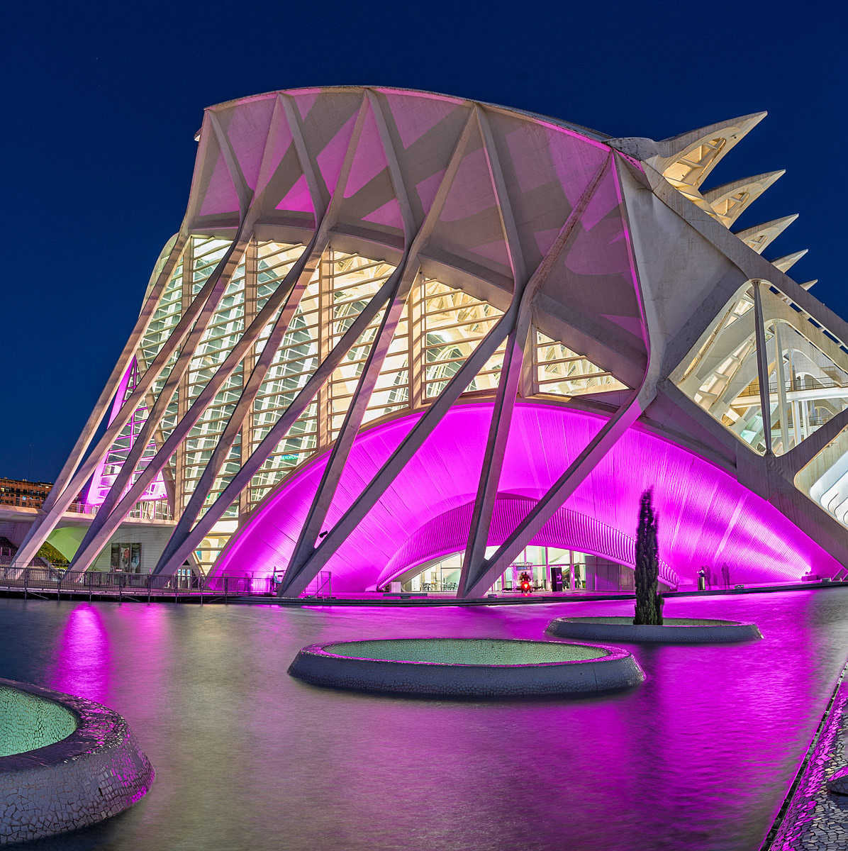 Museo de las Ciencias Principe Felipe #2 - City of Arts and Sciences