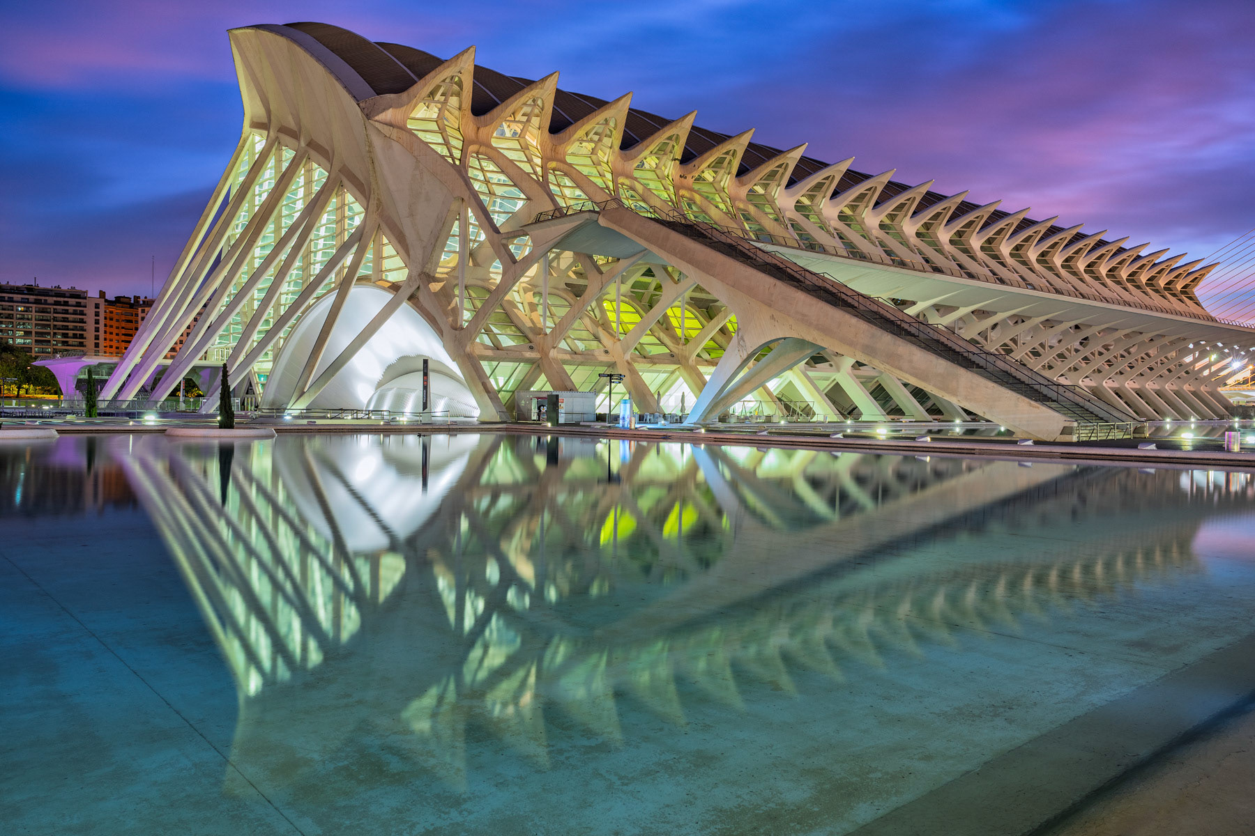 Museo de las Ciencias Principe Felipe #3 - City of Arts and Sciences - Daybreak