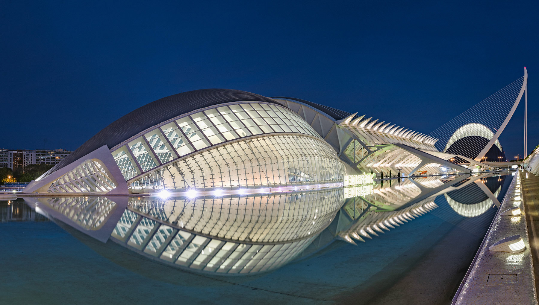 Organic Geometry- The Architecture of Santiago Calatrava