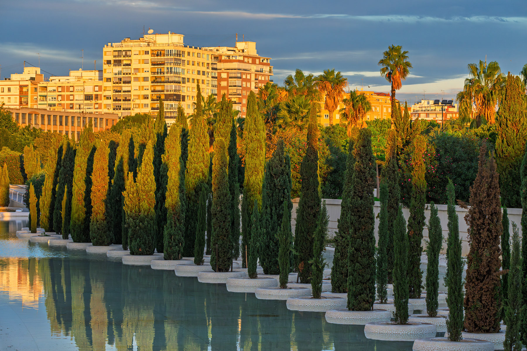 Golden Morning Reflections in Valencia