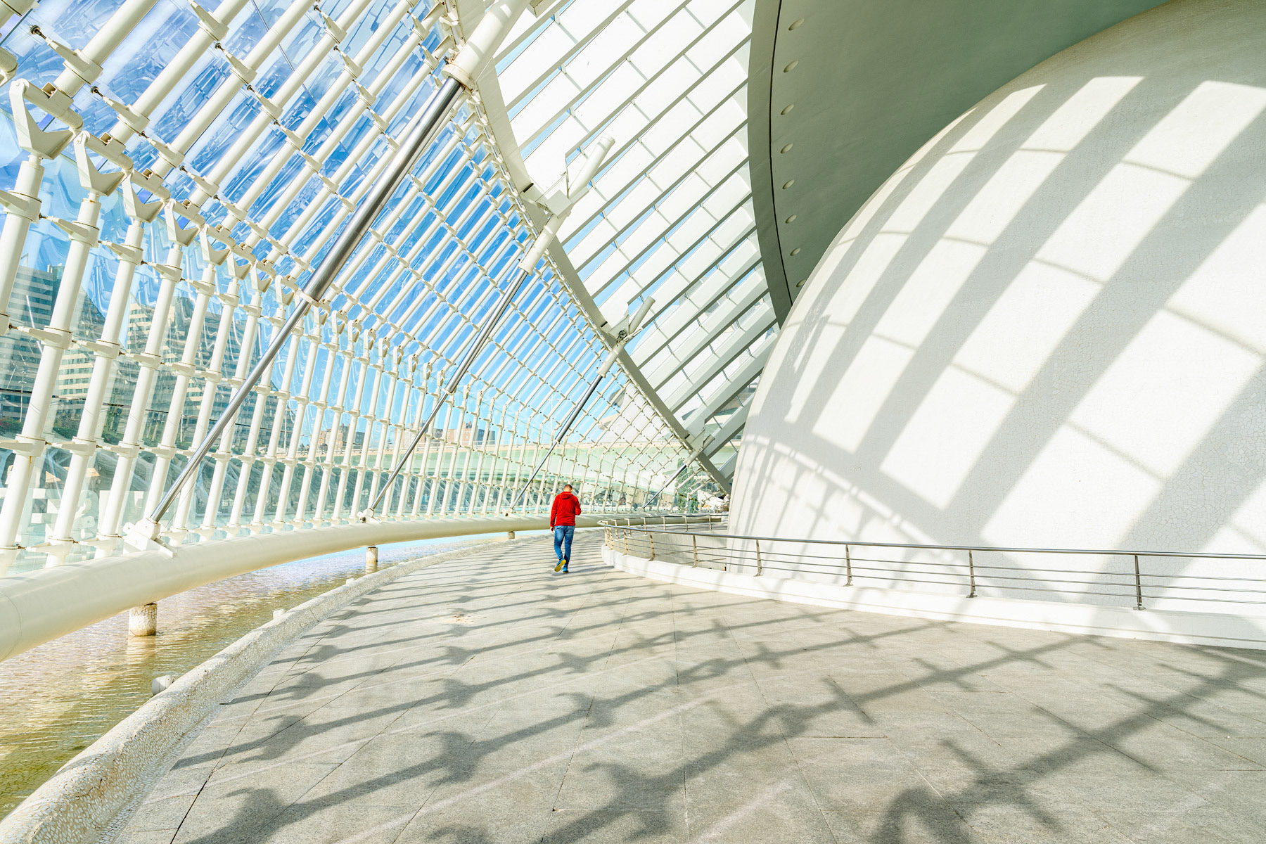 Hemisferic Interior #2 - City of Arts and Sciences