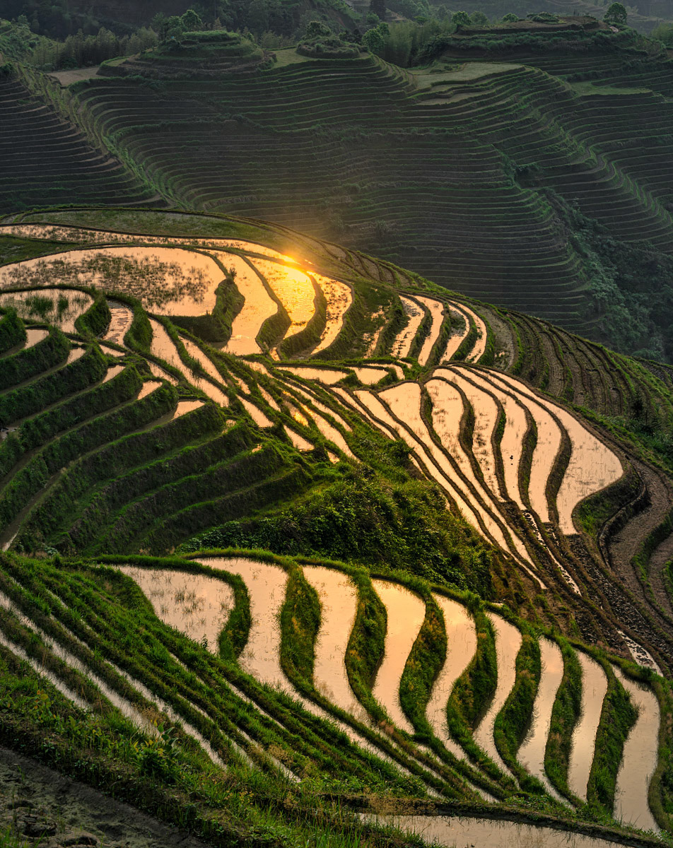 Longji Rice Terraces At Sunrise #1