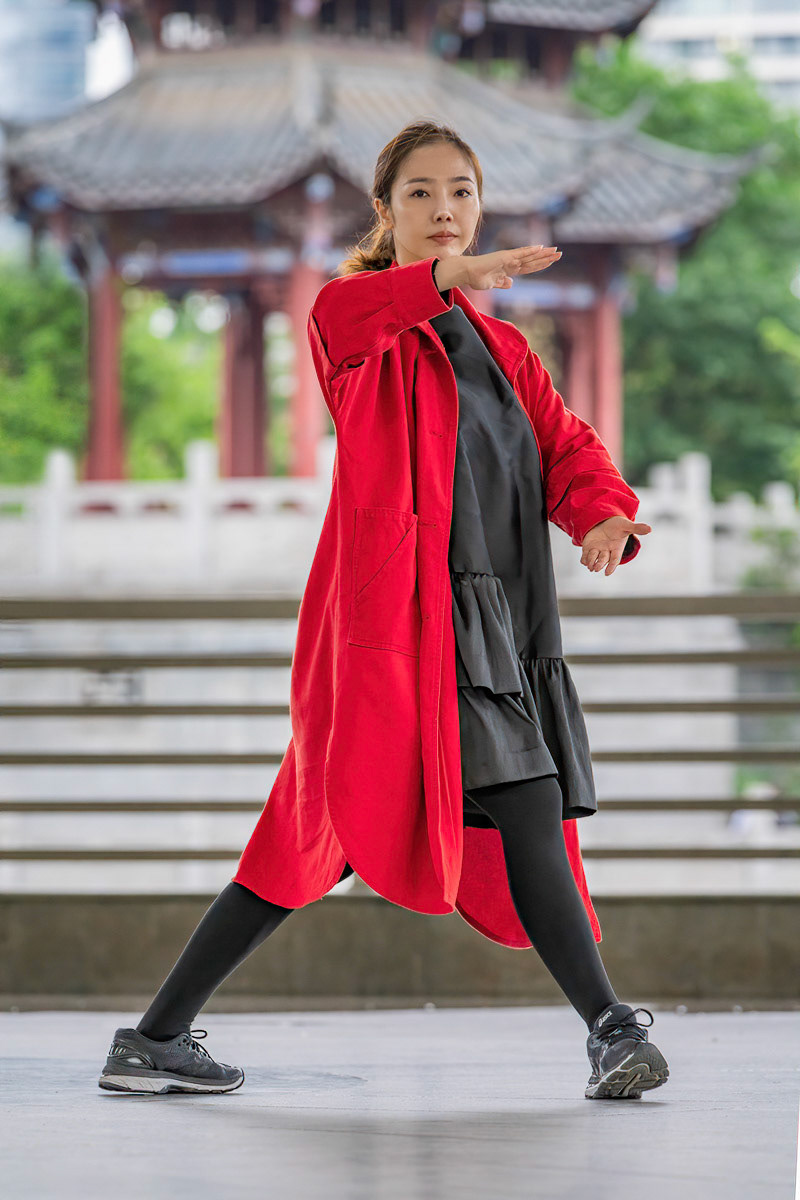 Tai Chi in the Park Chengdu #3
