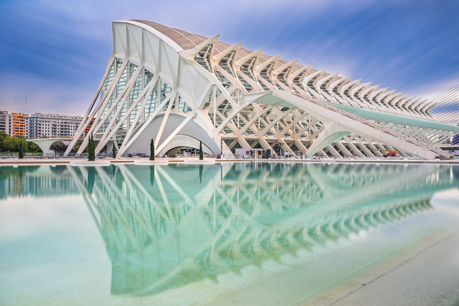 Museo de las Ciencias Principe Felipe #1 - City of Arts and Sciences