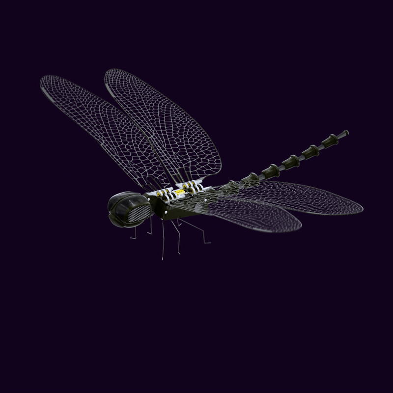 DF #004