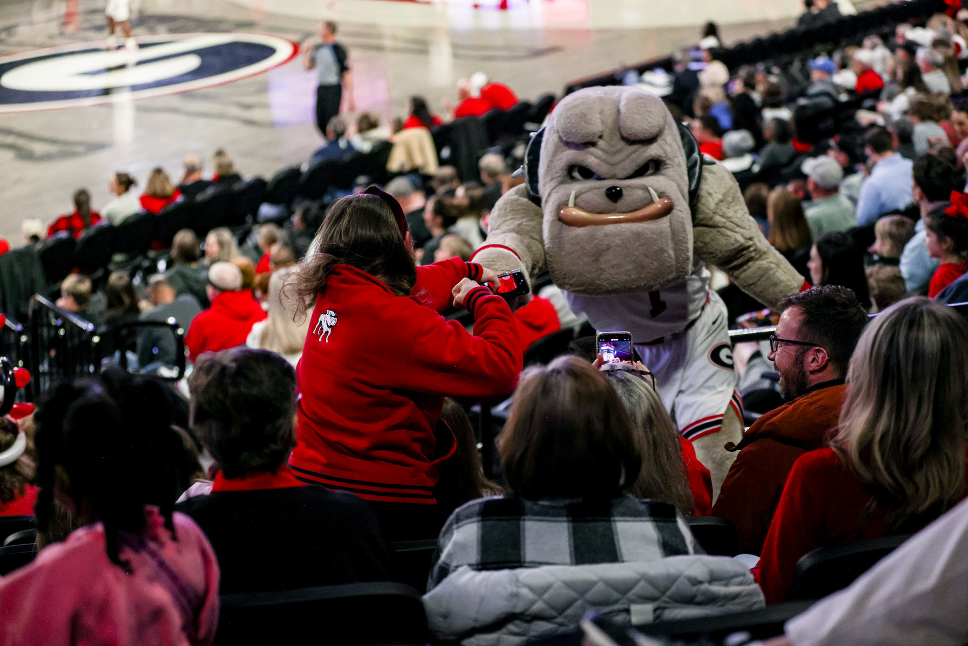 Hairy Dawg, Georgia Fan during Georgia’s game against Kentucky at Stegeman Coliseum in Athens, Ga., on Sunday, Jan. 19, 2025. (Blake Caviness/UGAAA)