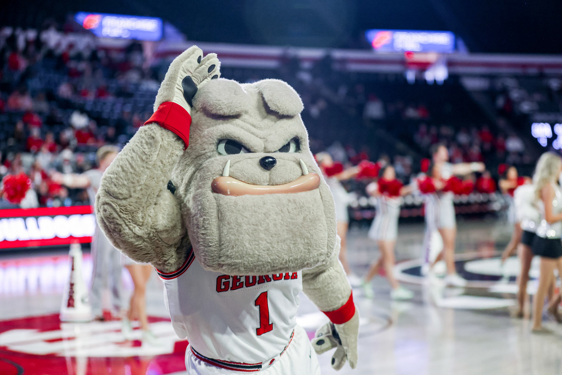 Hairy Dawg before Georgia’s game against Kentucky at Stegeman Coliseum in Athens, Ga., on Sunday, Jan. 19, 2025. (Blake Caviness/UGAAA)