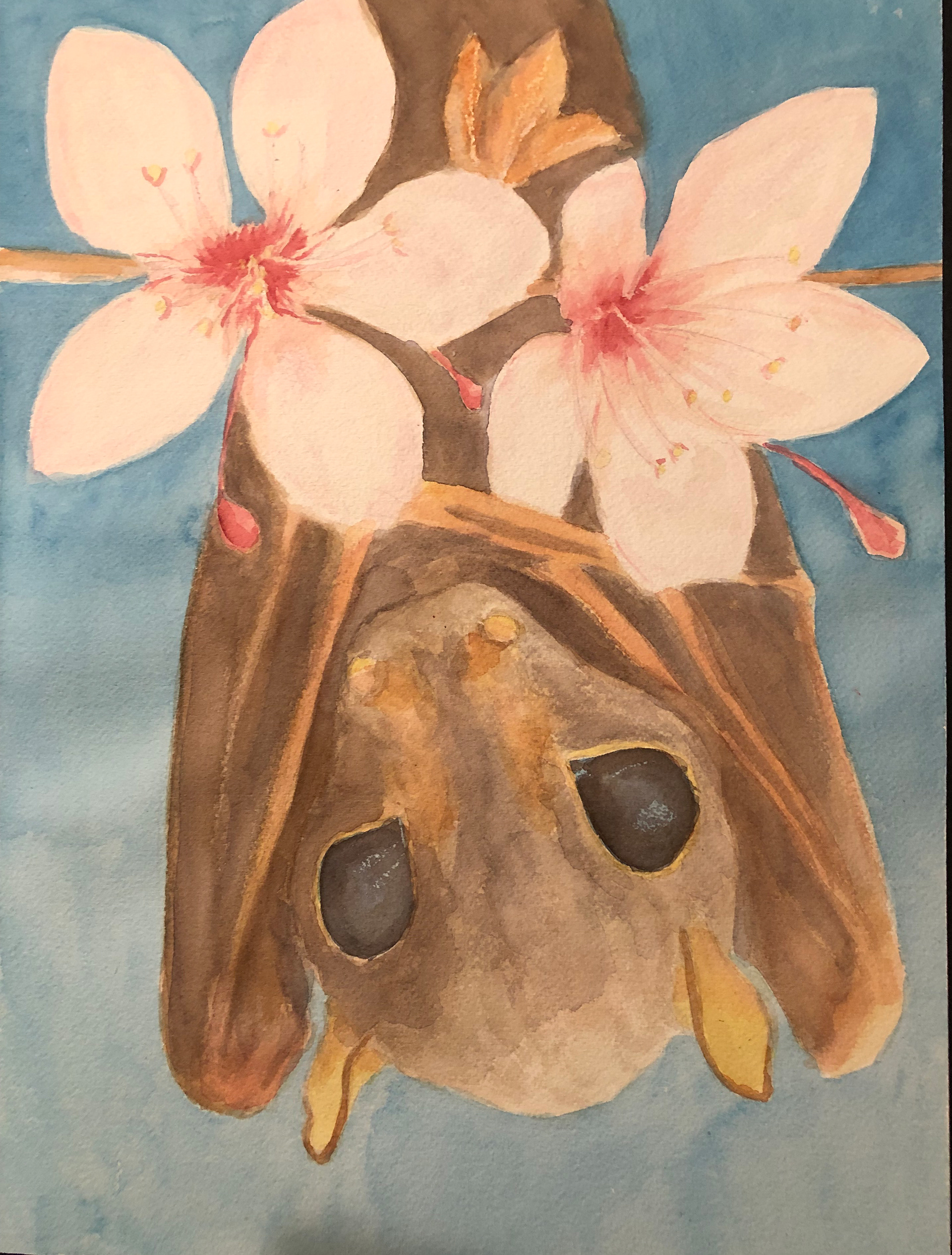 Water Color