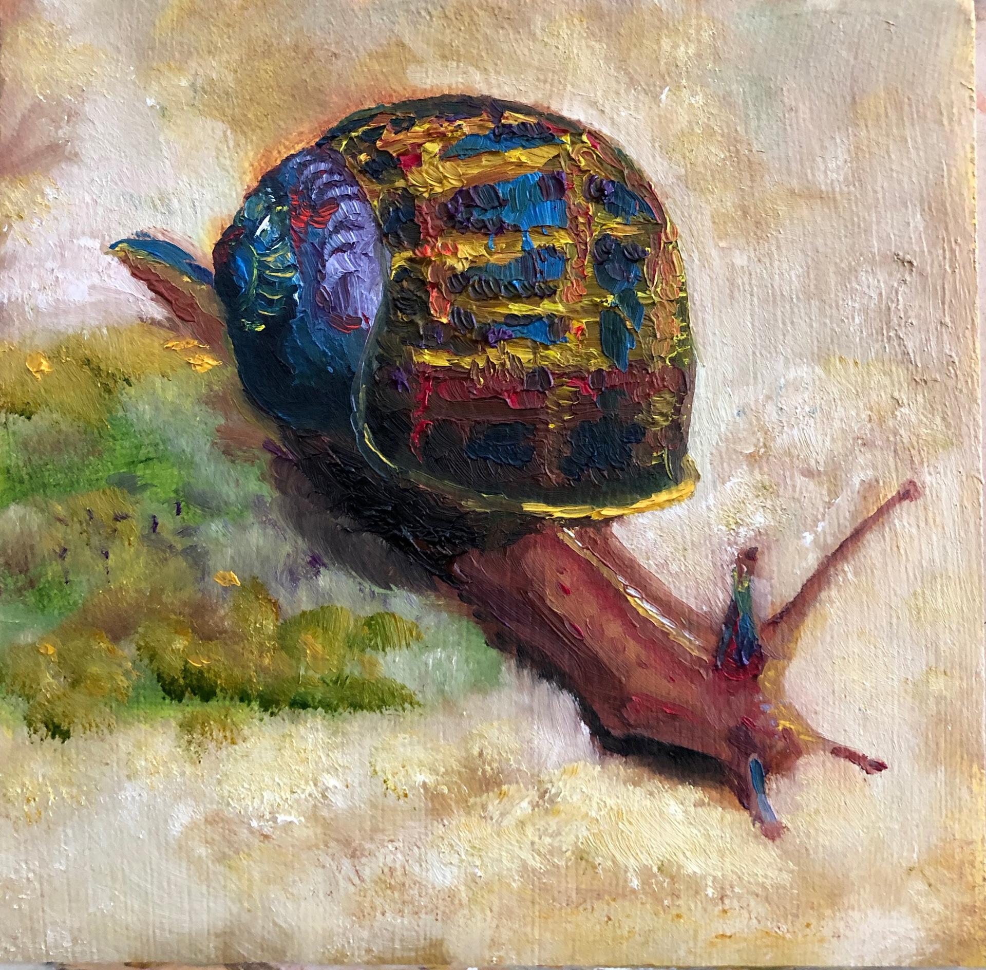 yard snail
