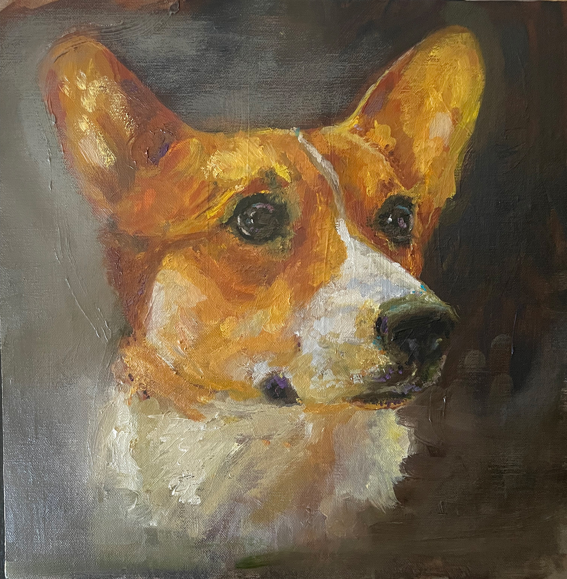 Pet Portraits