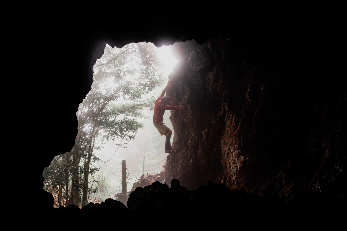 Bushrangers Cave. On the Queensland/New South Wales border.