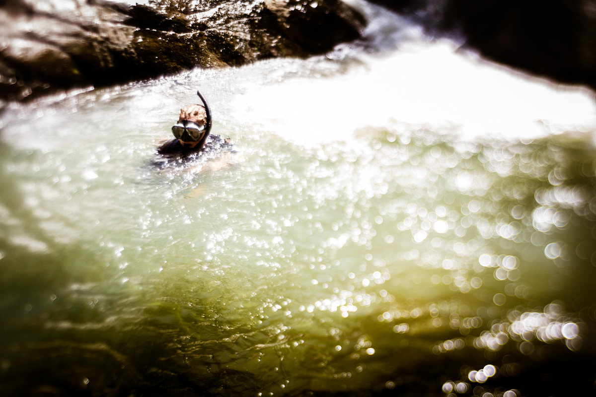Cedar Creek, Queensland