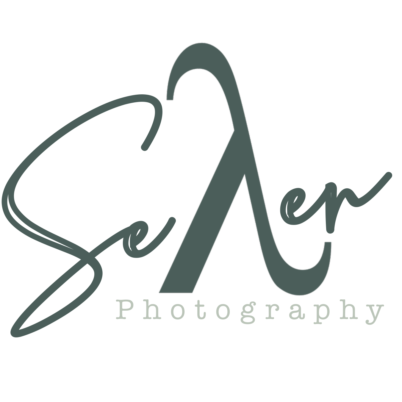 Seven Wavelengths Photography 