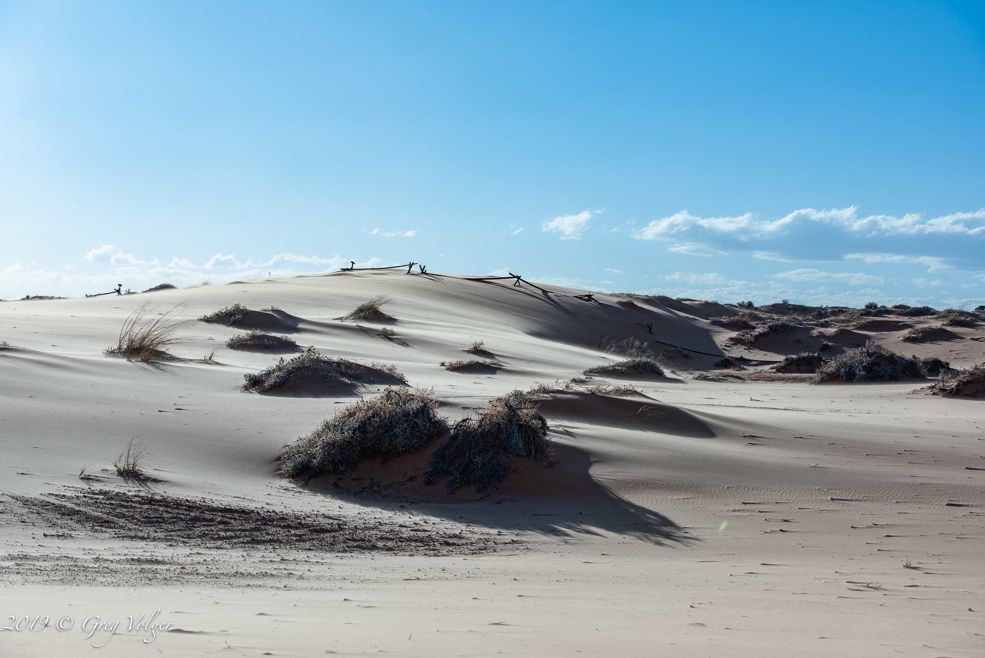 Coral Pink Sand Dunes