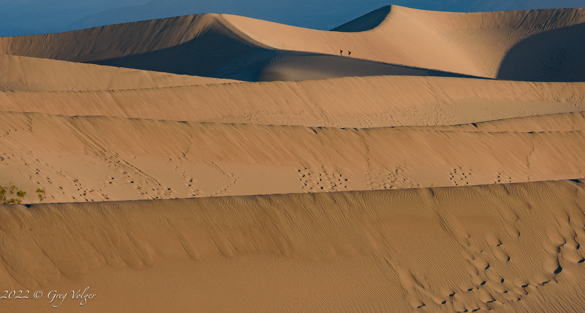 Mesquite Sand Dunes