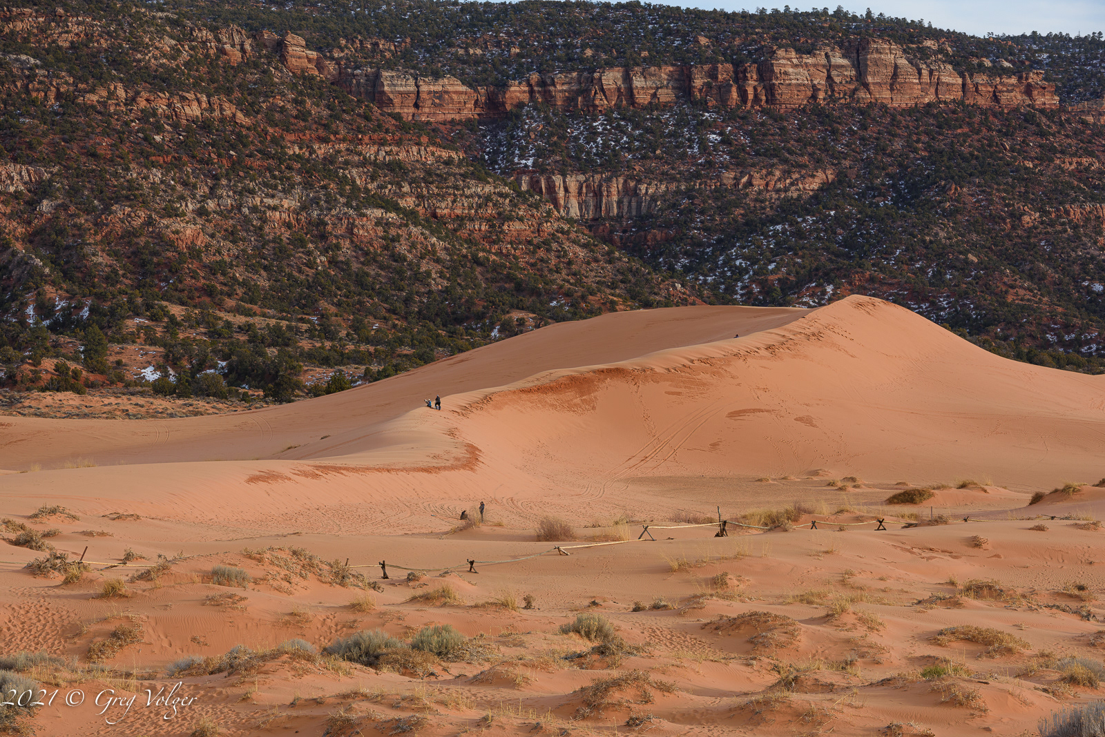 Pink Coral San Dunes State Park, Utah