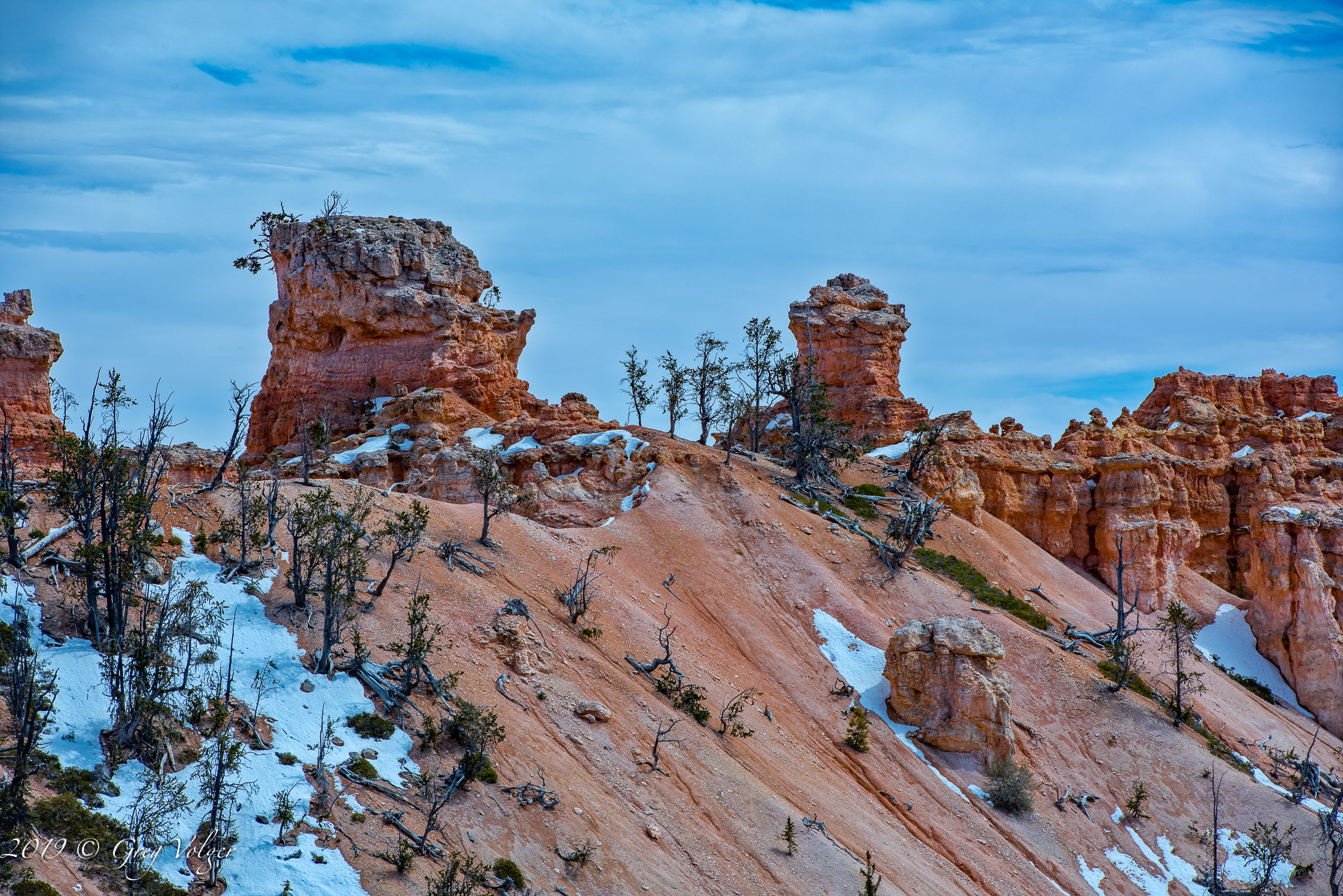 Bryce