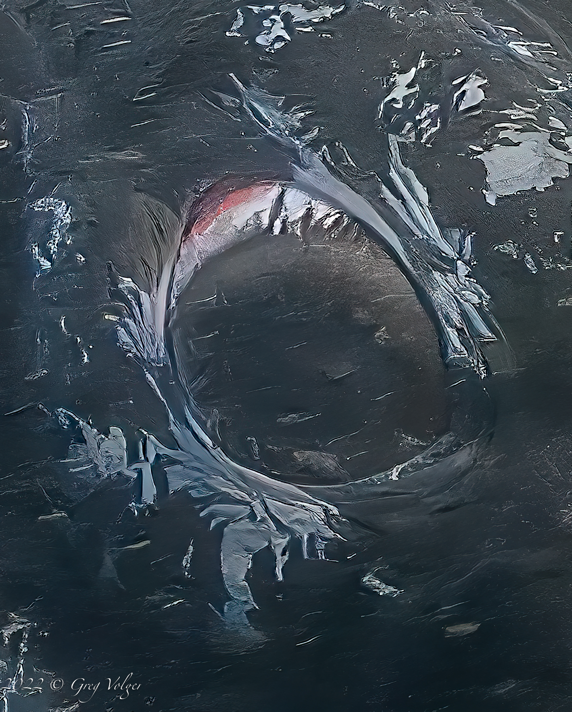 Southern Right Whale eye