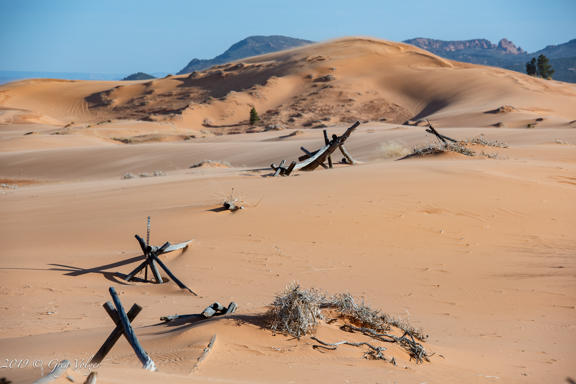 Coral Pink Sand Dunes