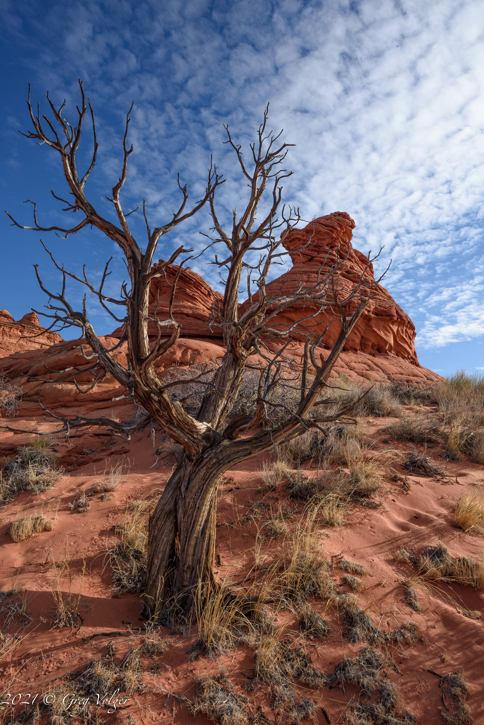 Coyote Buttes South, Arizona