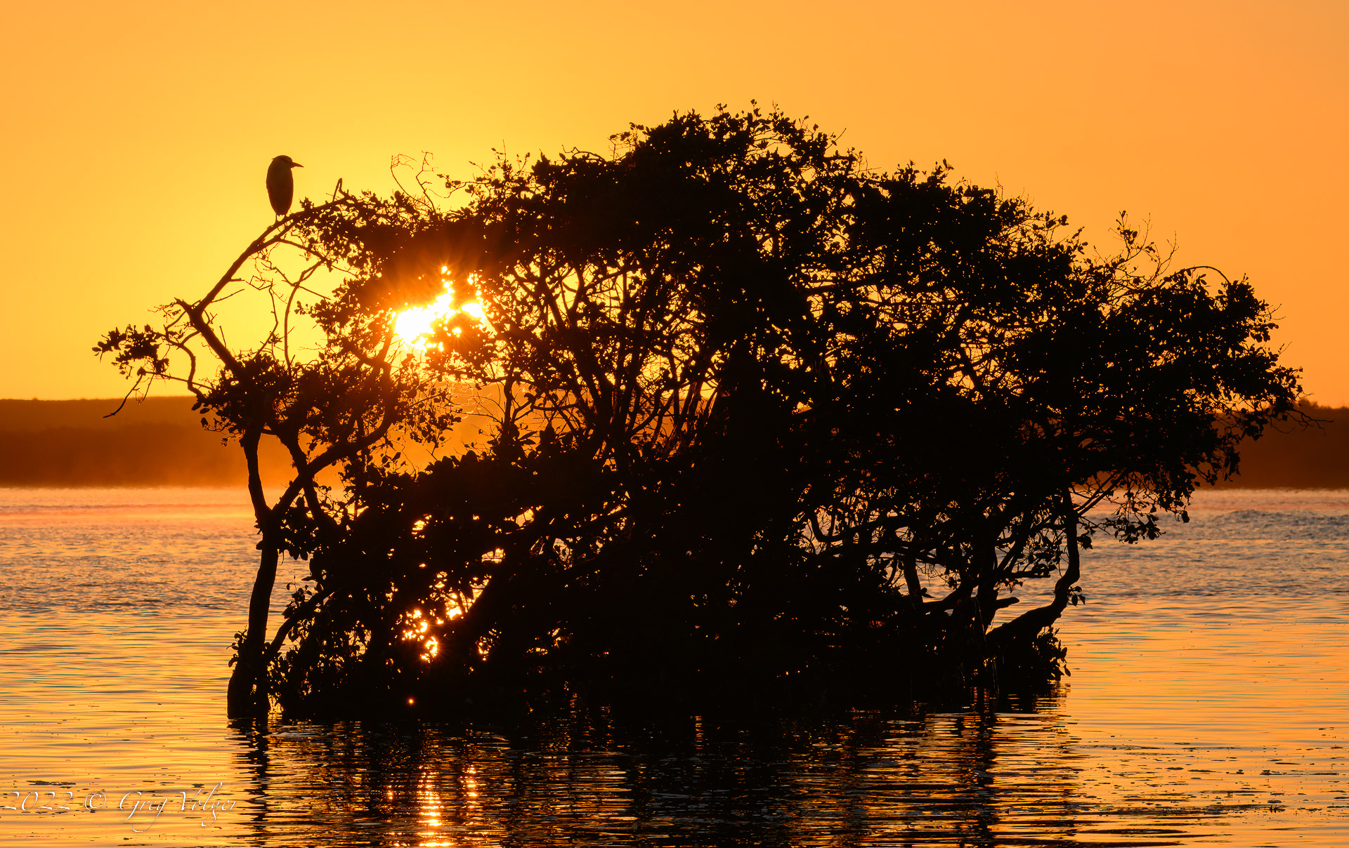 Sunrise in Magdalena Bay