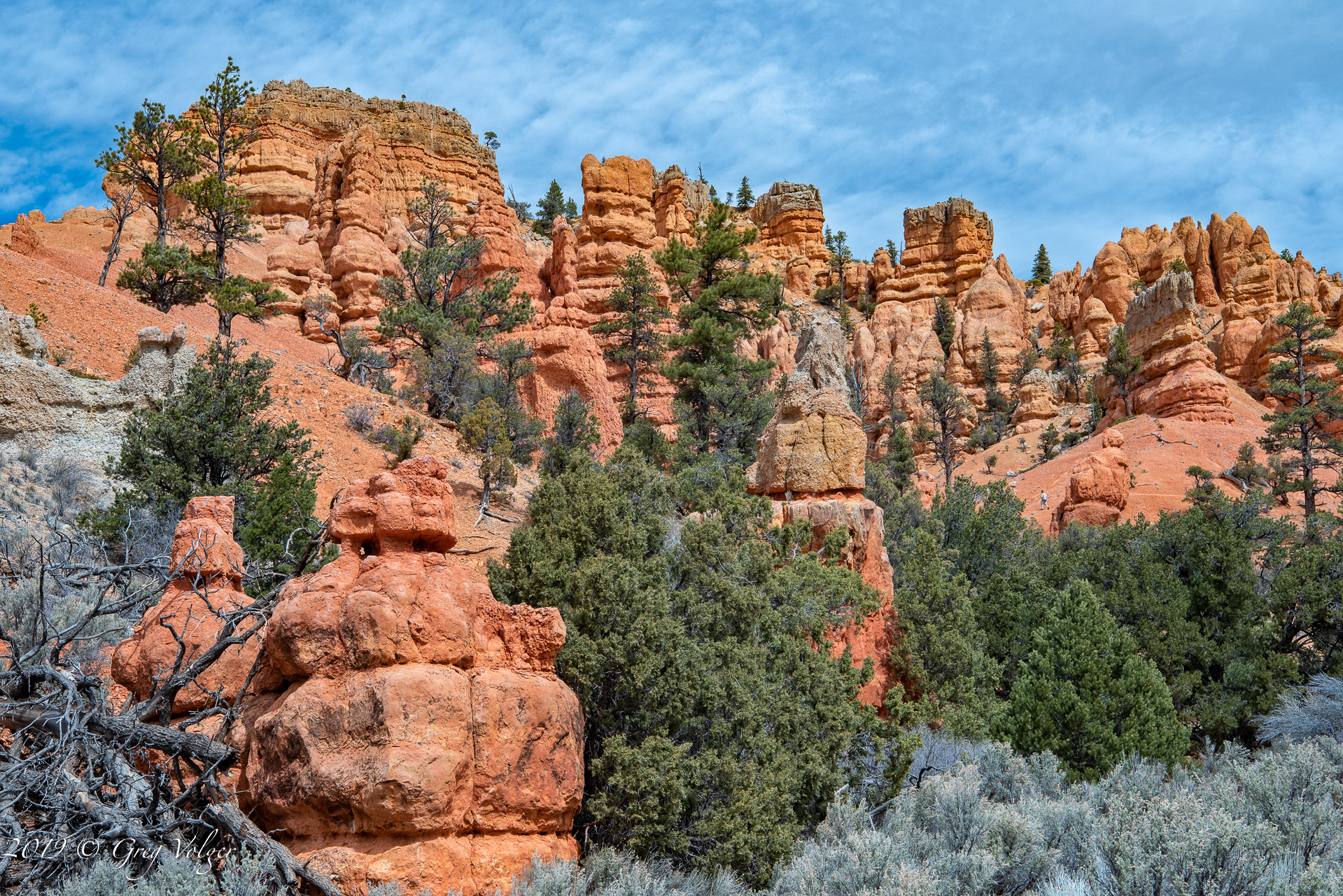 Red Canyon