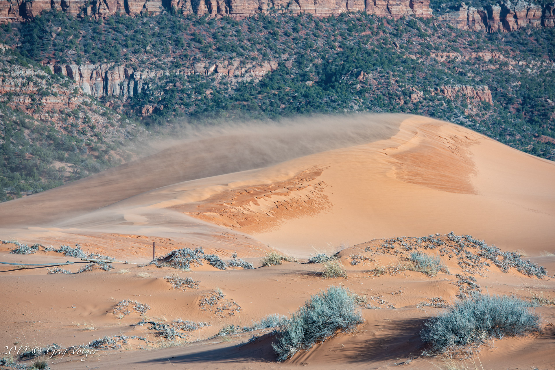 Coral Pink Sand Dunes