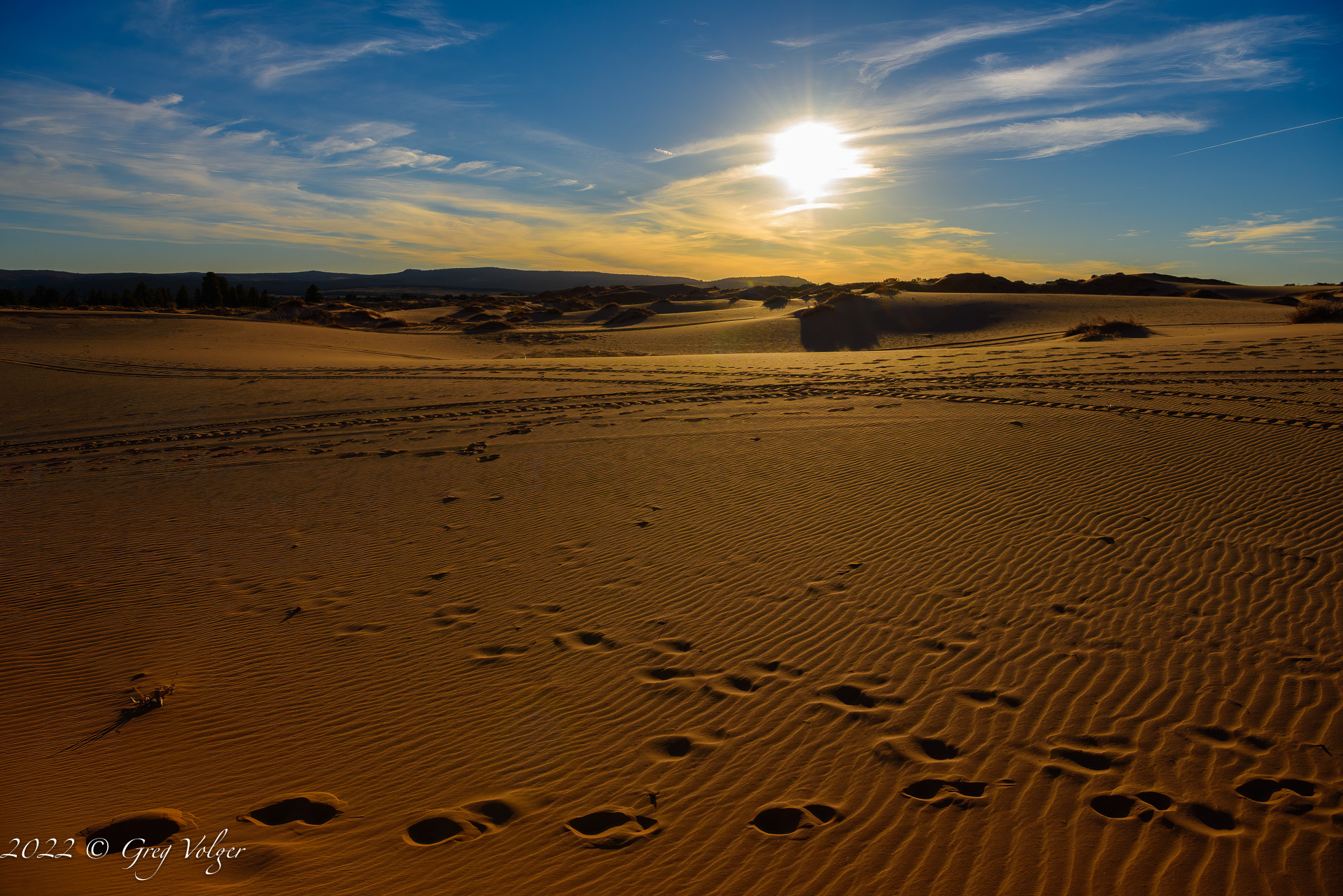 Pink Coral Sands Dunes