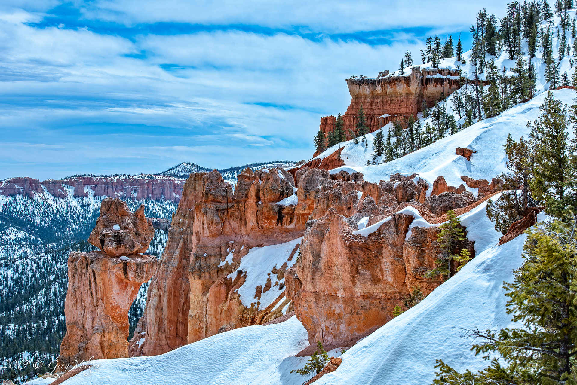 Bryce