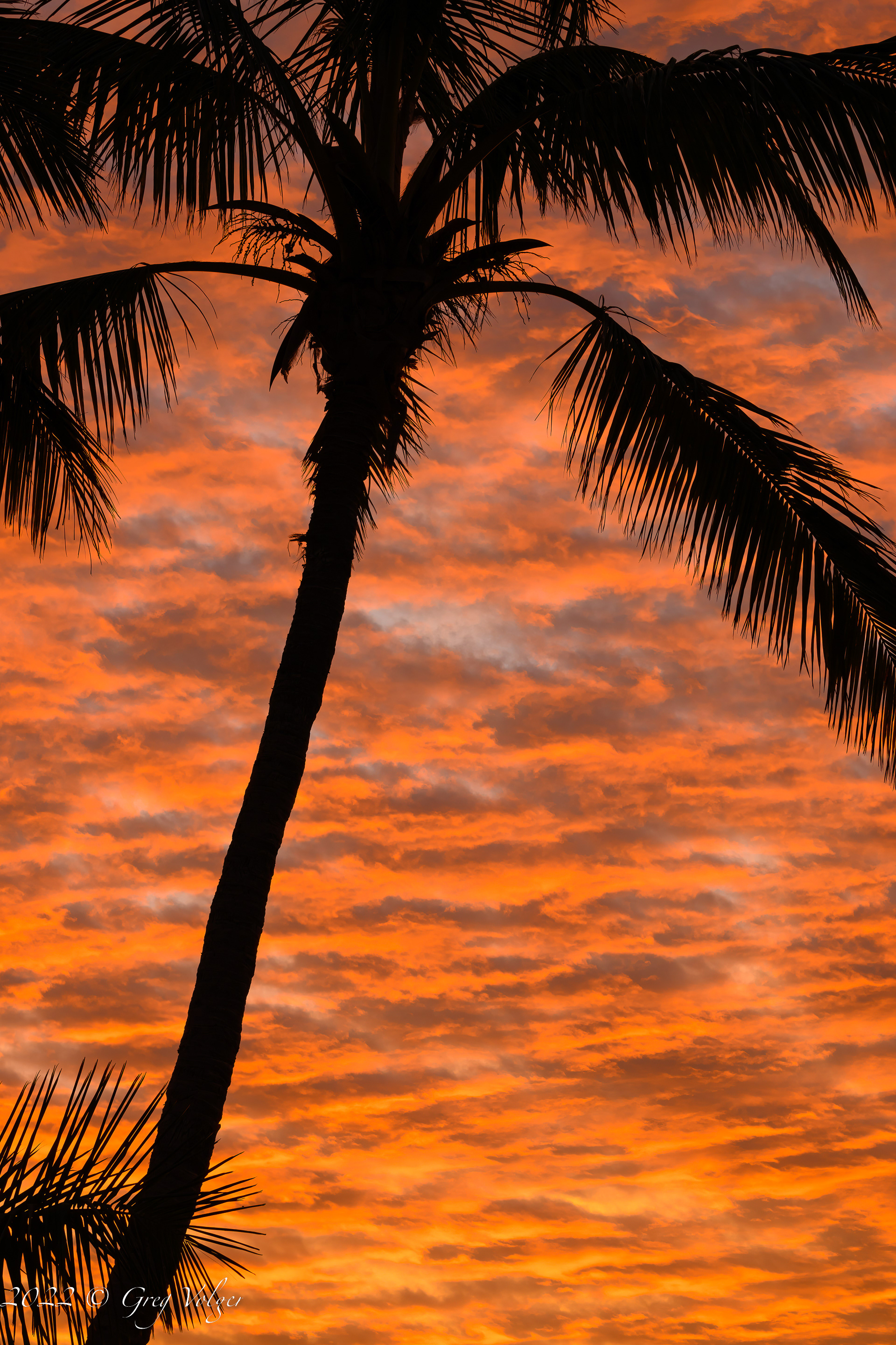 Sunrise in Magdalena Bay
