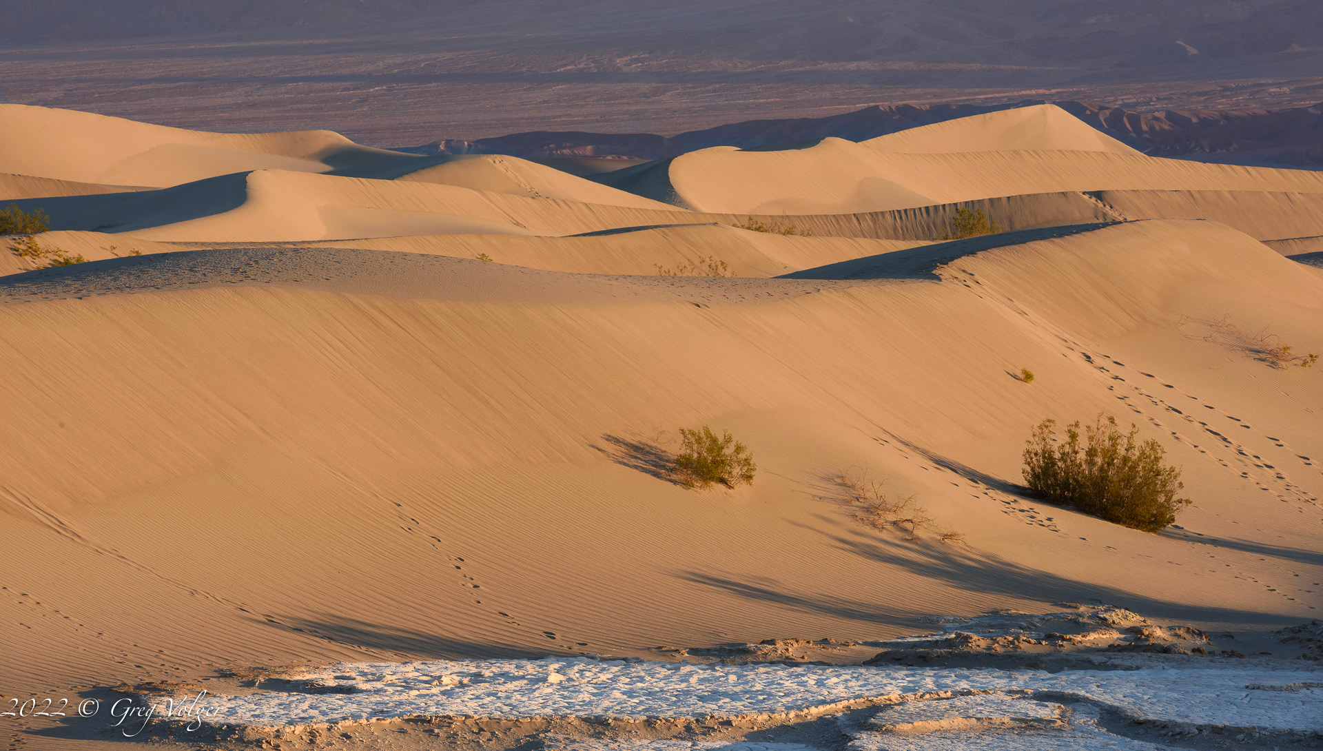 Mesquite Sand Dunes
