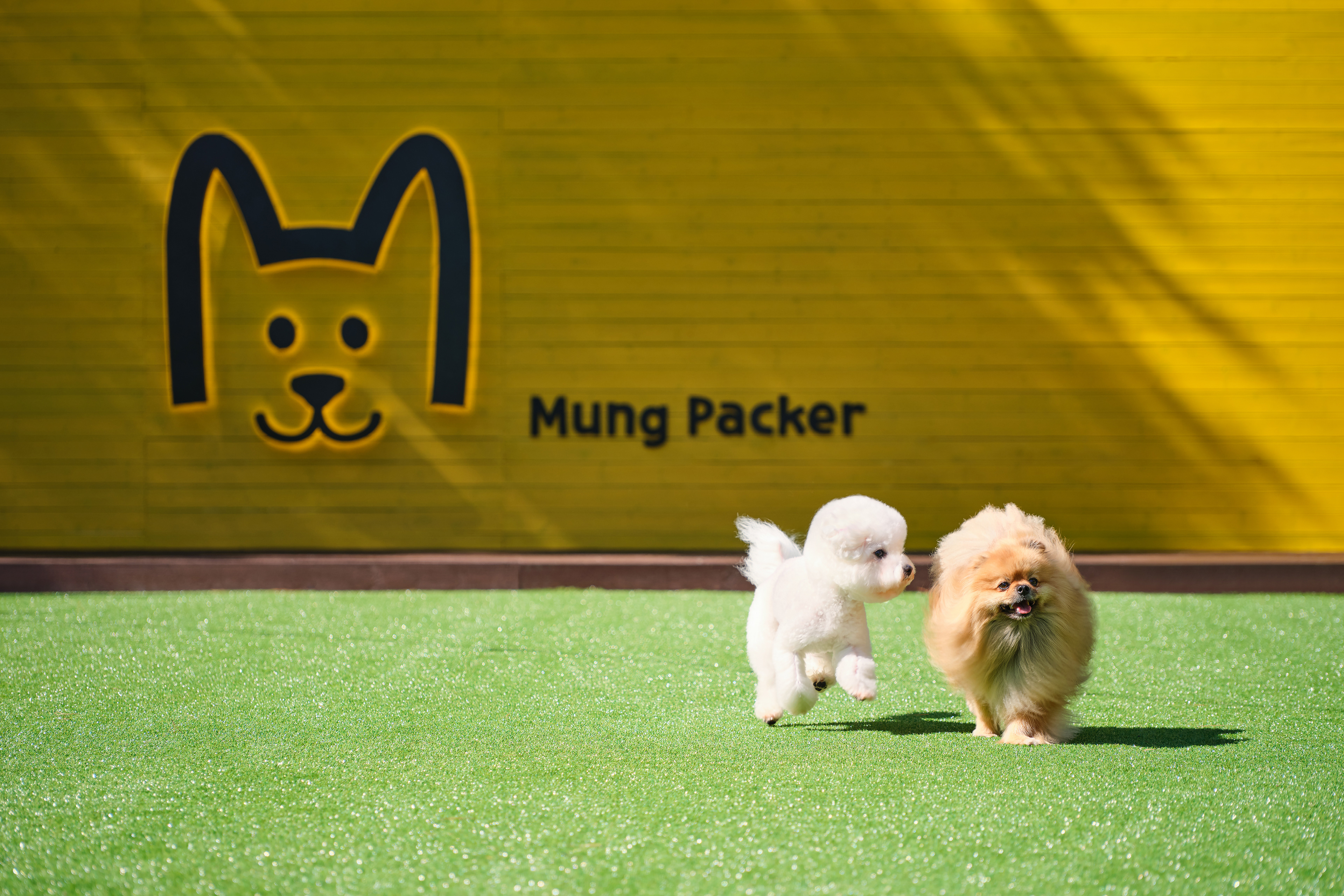 평창
