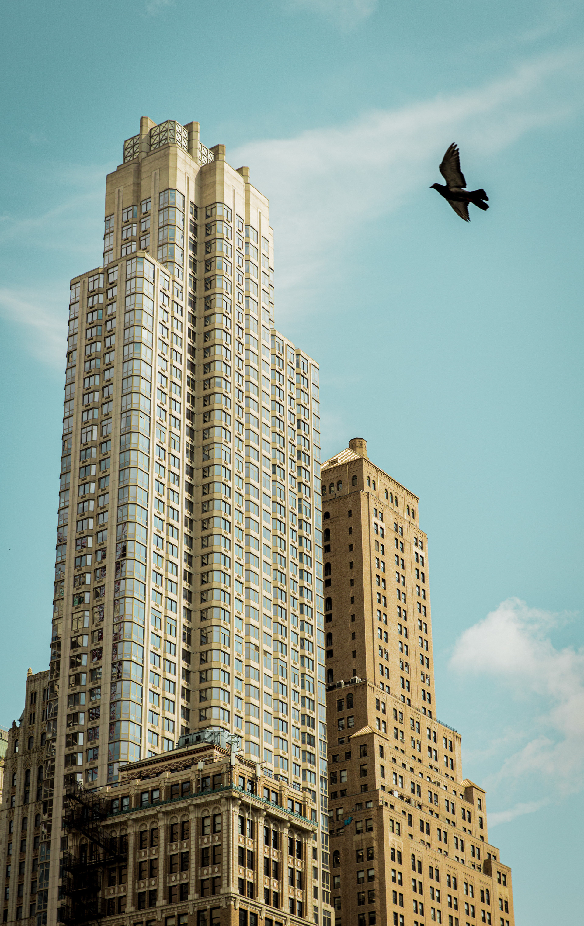 NYC: Artikelnummer #2403