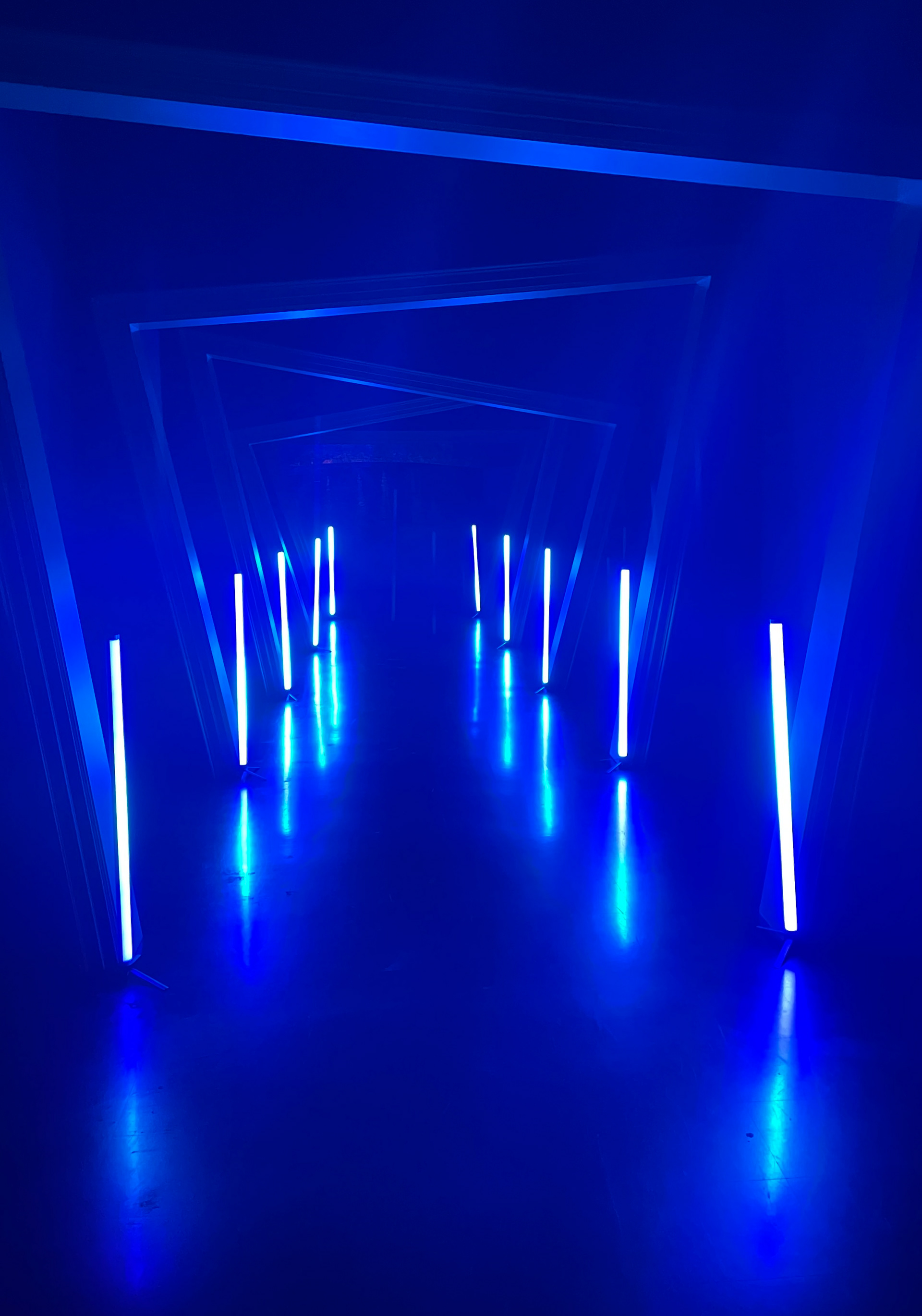A hyperspace tunnel transported attendees...