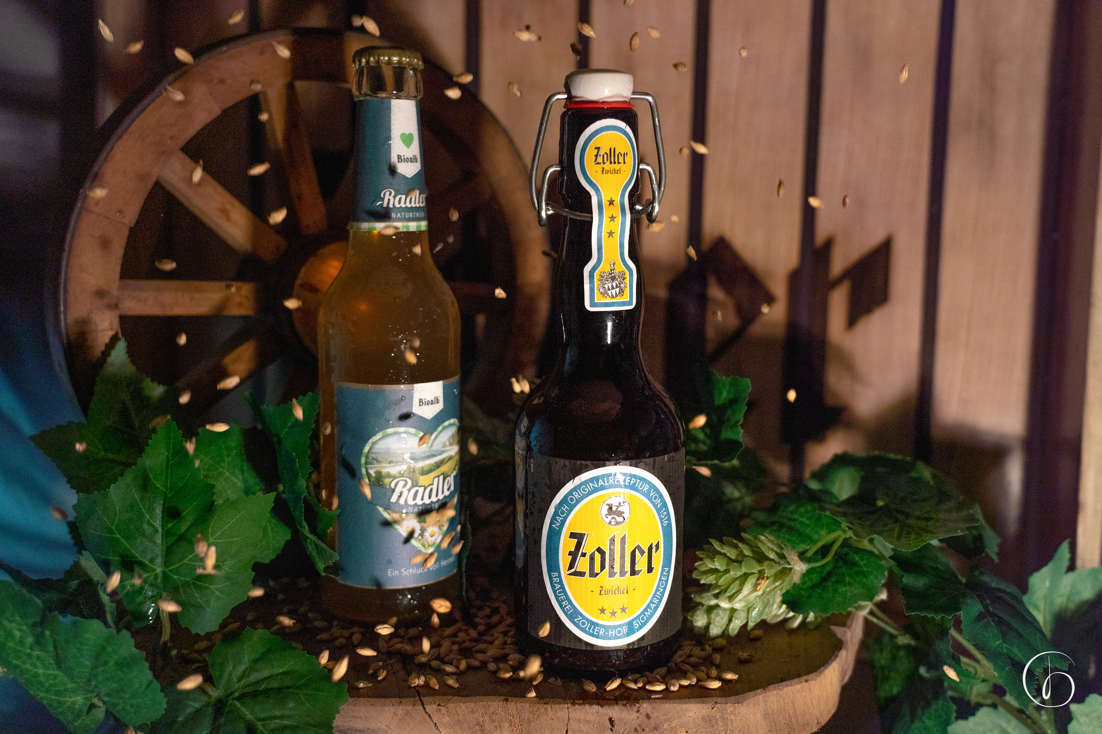 Zoller-Hof
