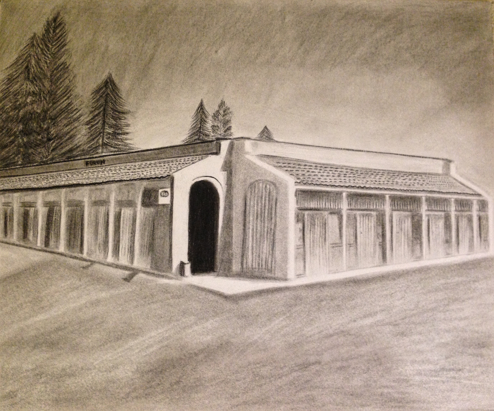 24"x 18" Charcoal on paper, Live Building