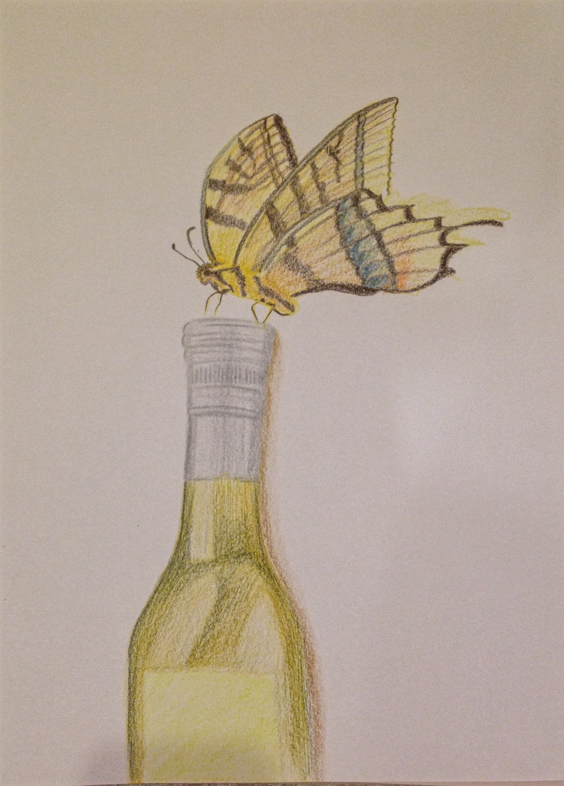 9"x 12" Color pencil on paper, Betterfly