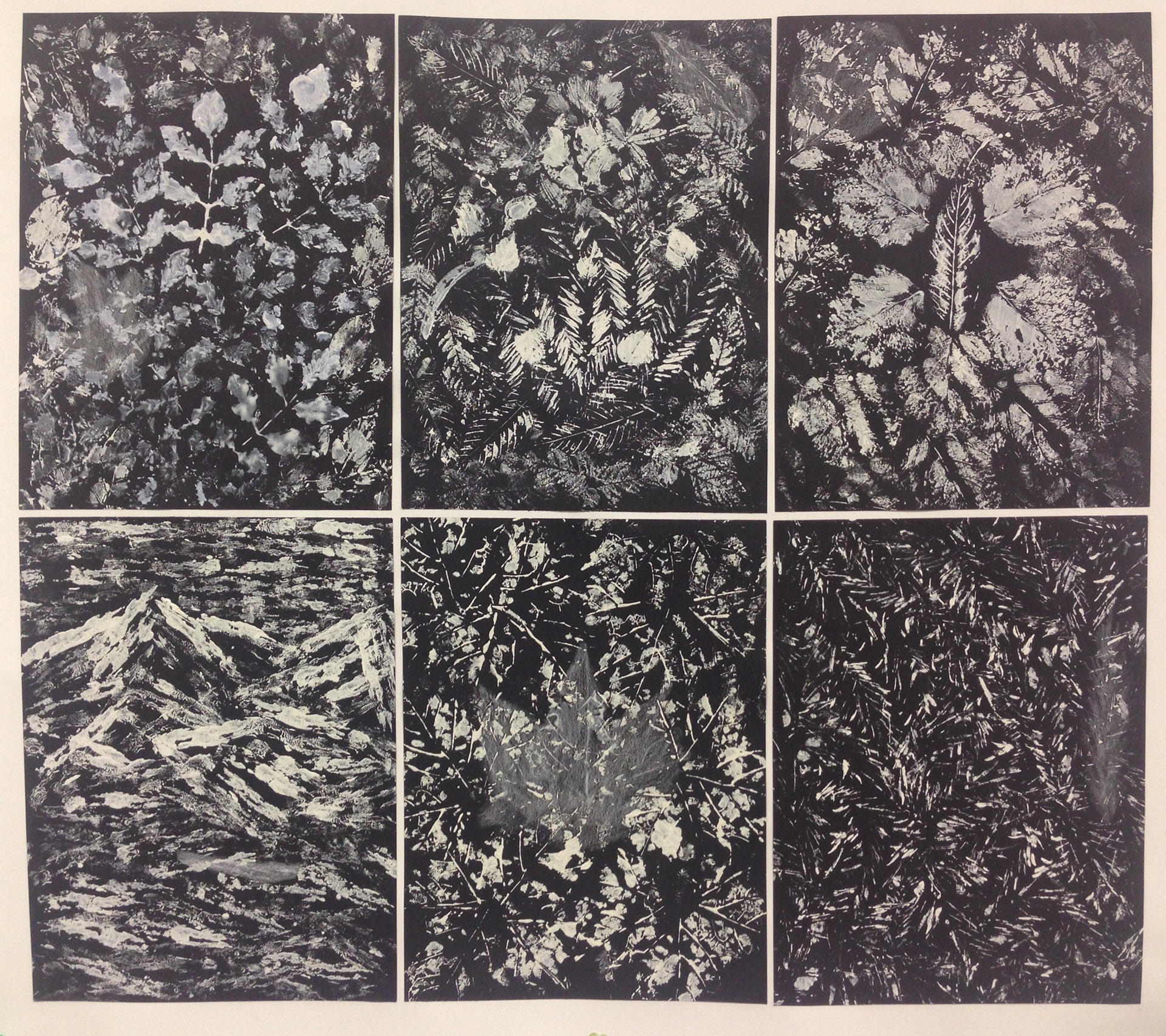 27"x 24" Acrylic on paper, Natural Beauty II