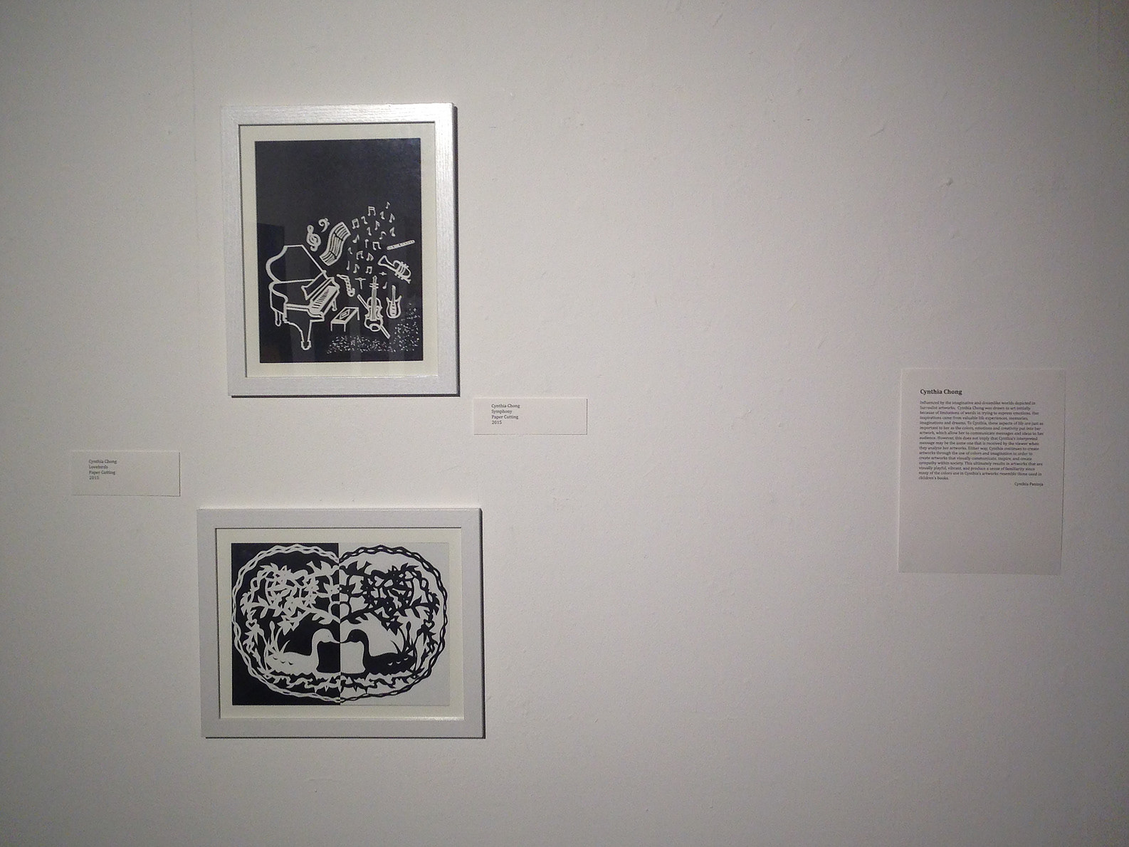 Senior Art Show in UC Davis Basement Gallery