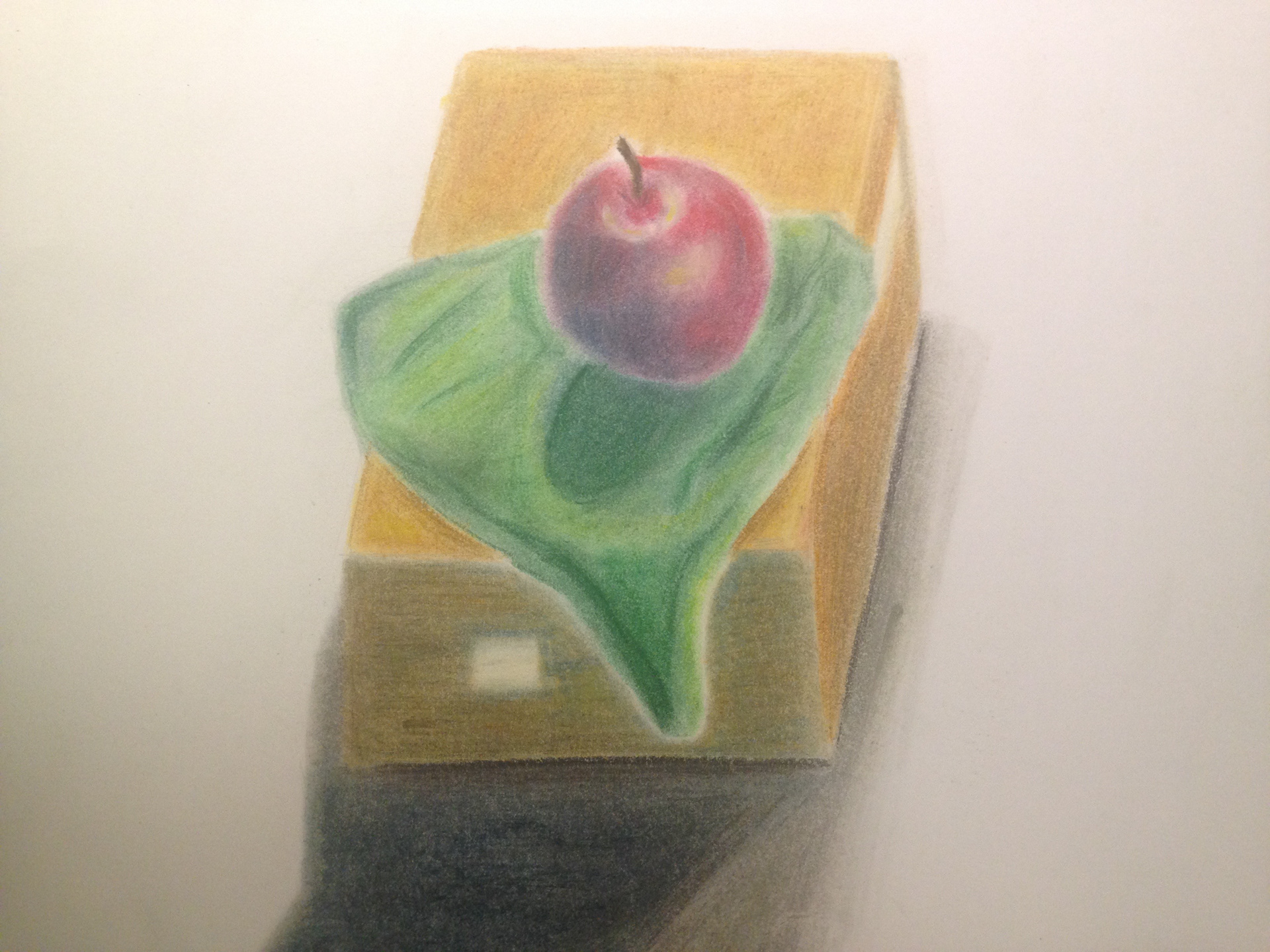 11"x 14" Pastel on paper, Live Objects