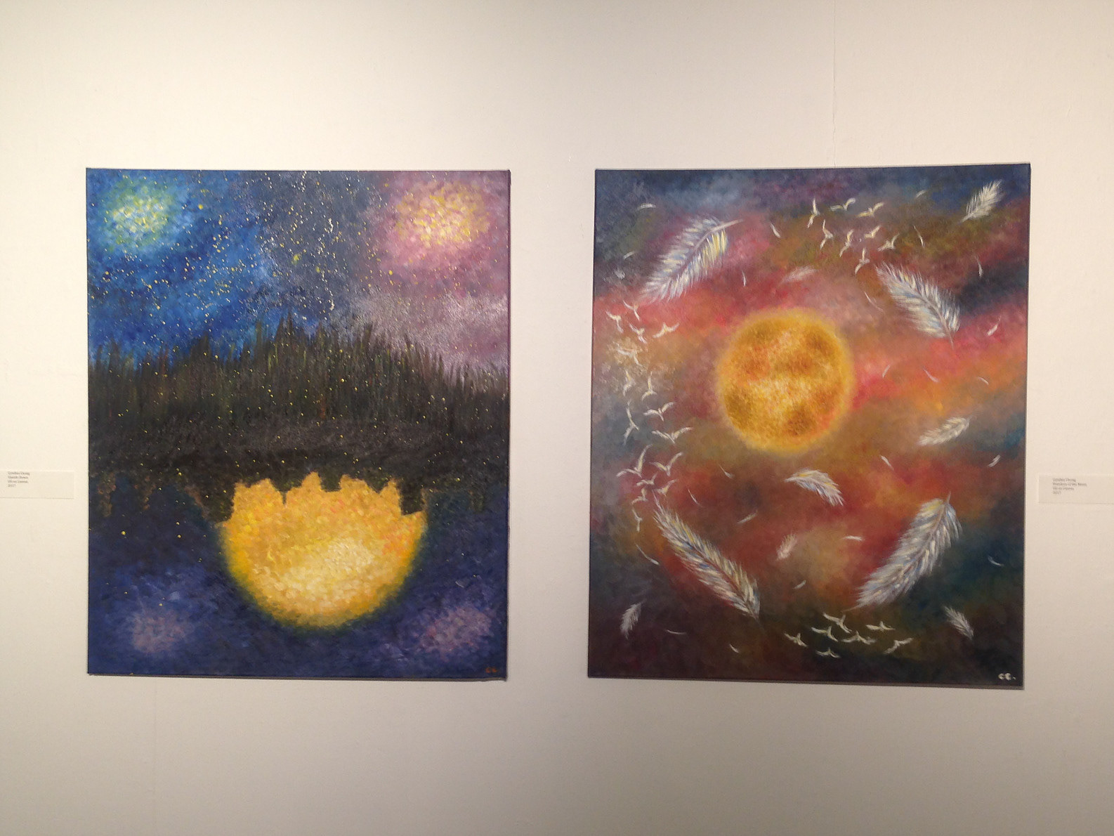Senior Art Show in UC Davis Basement Gallery