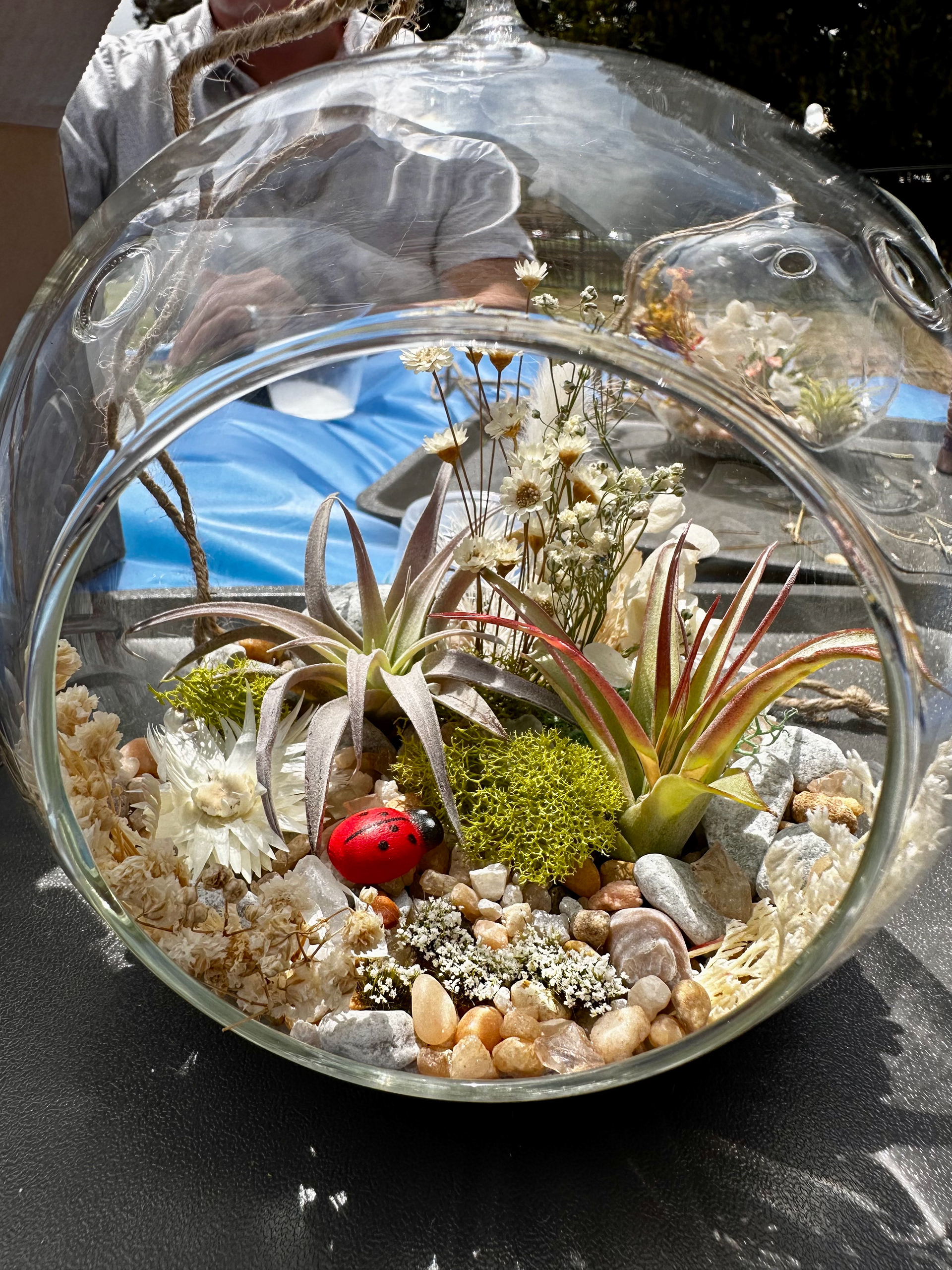 DIY Terrarium