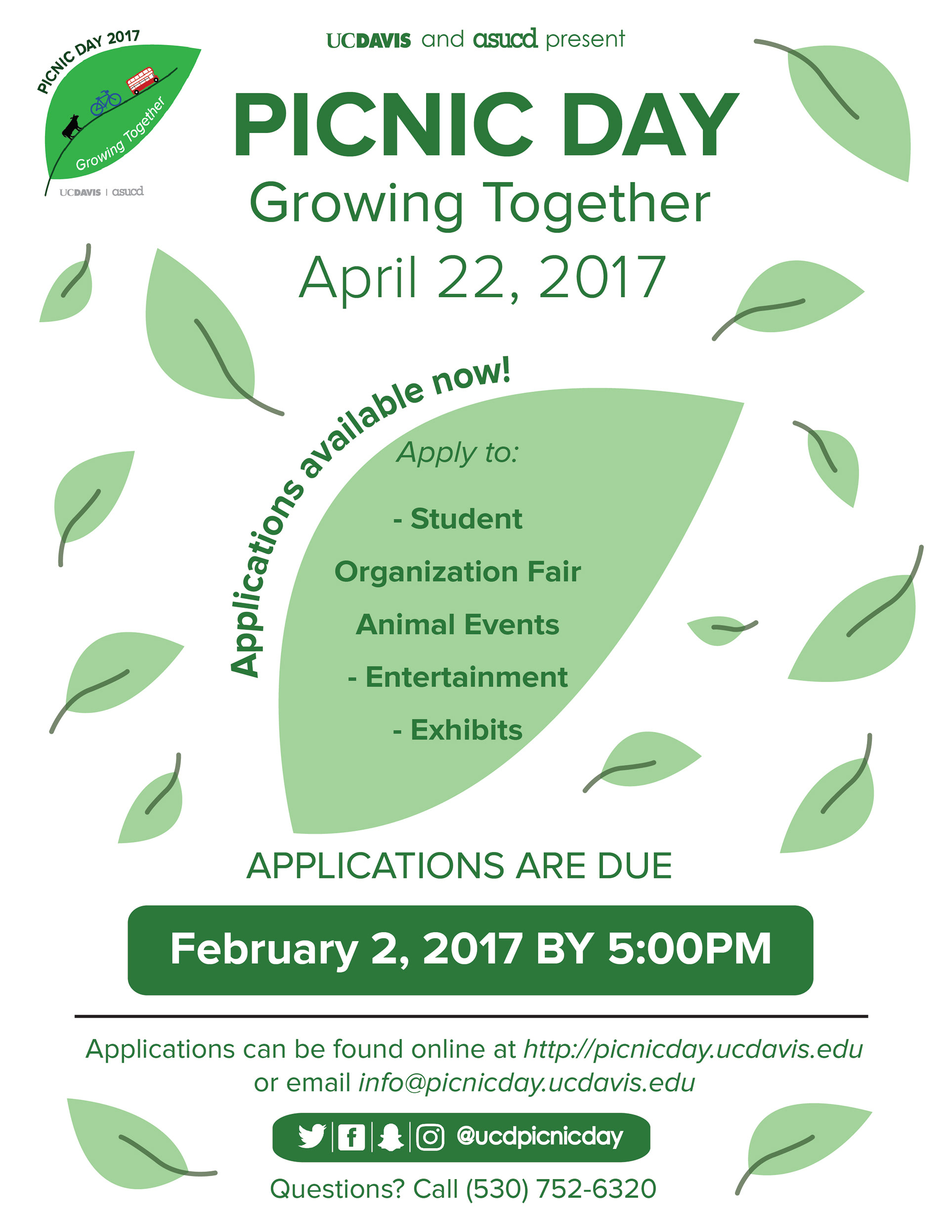 Application Flyer